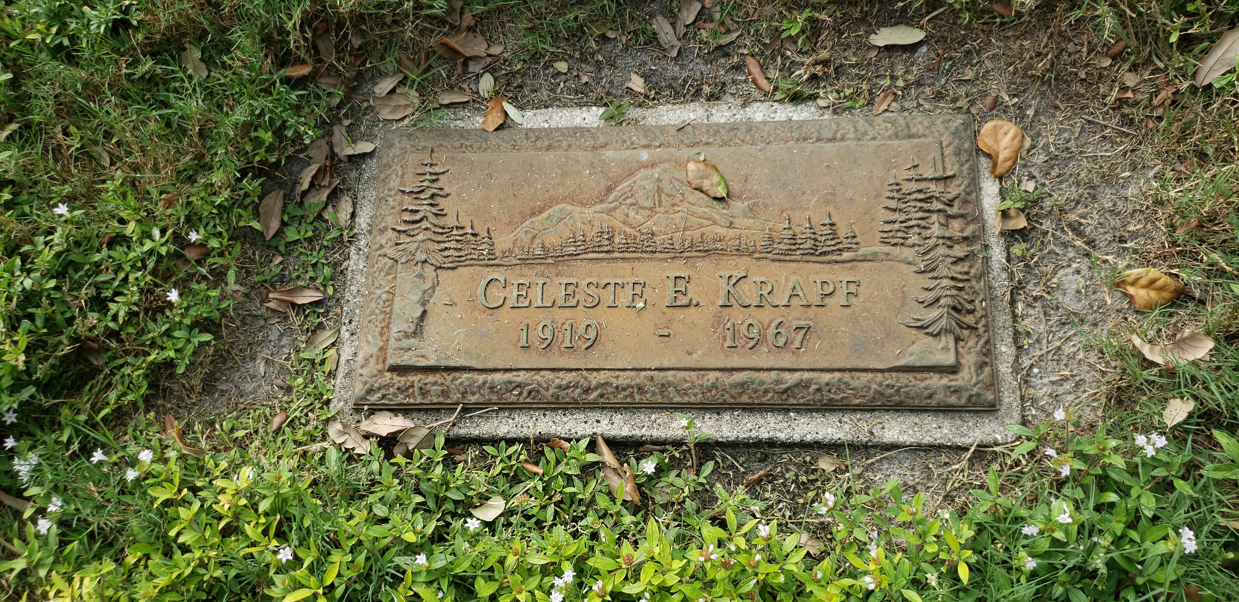 Celeste E Krapf