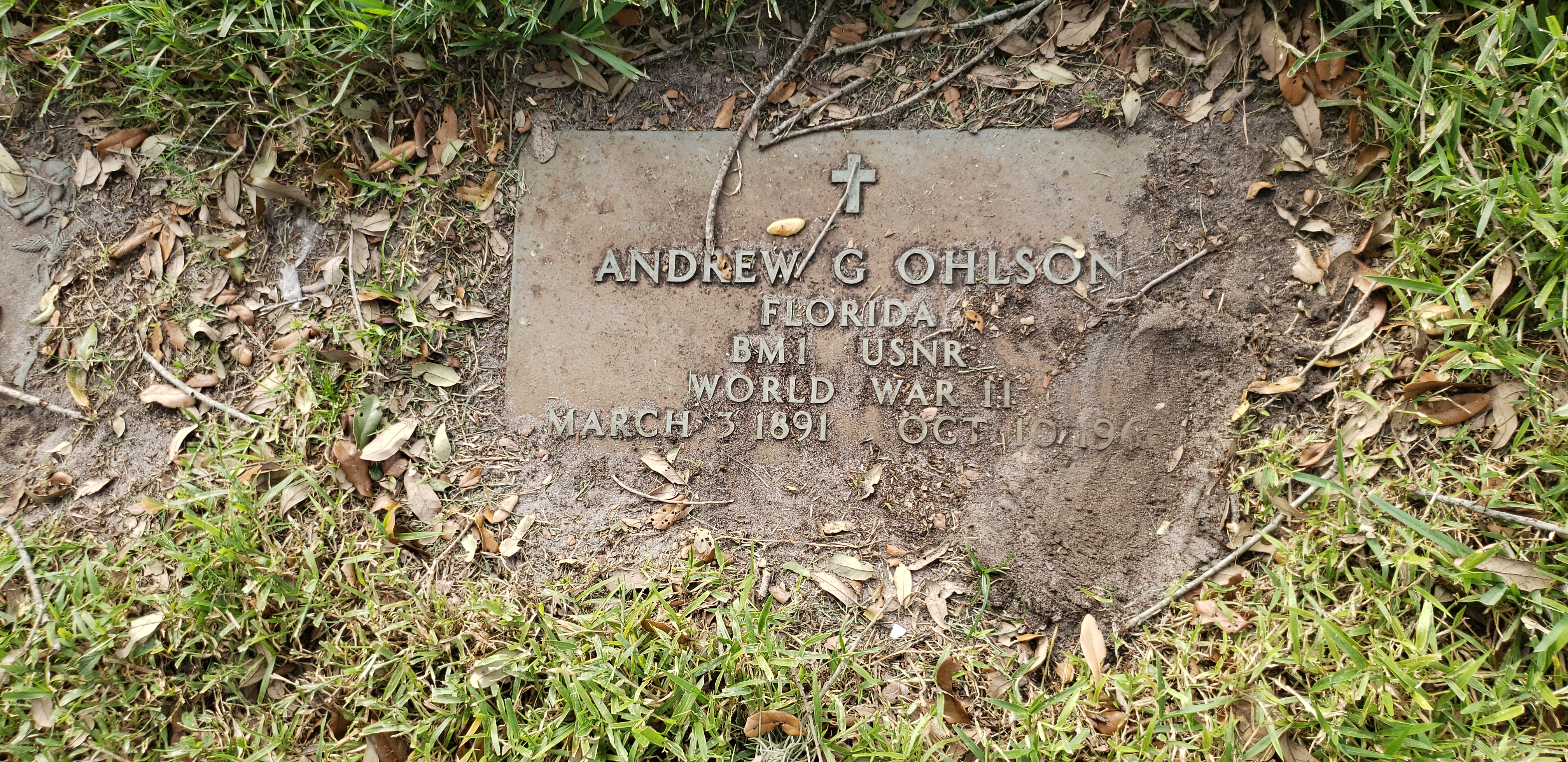 Andrew G Ohlson