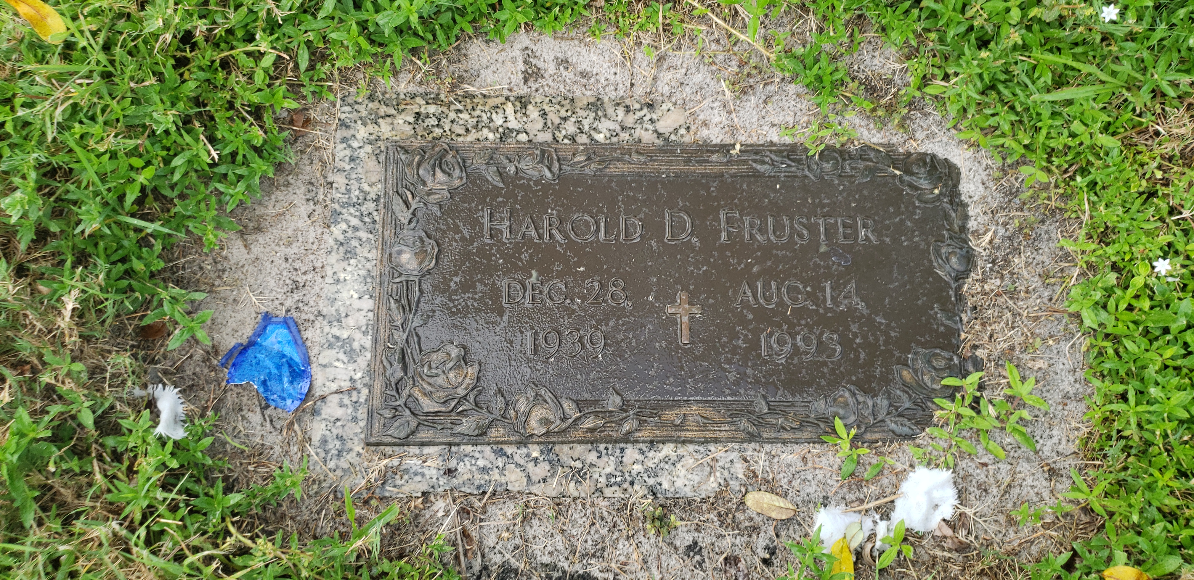 Harold D Fruster