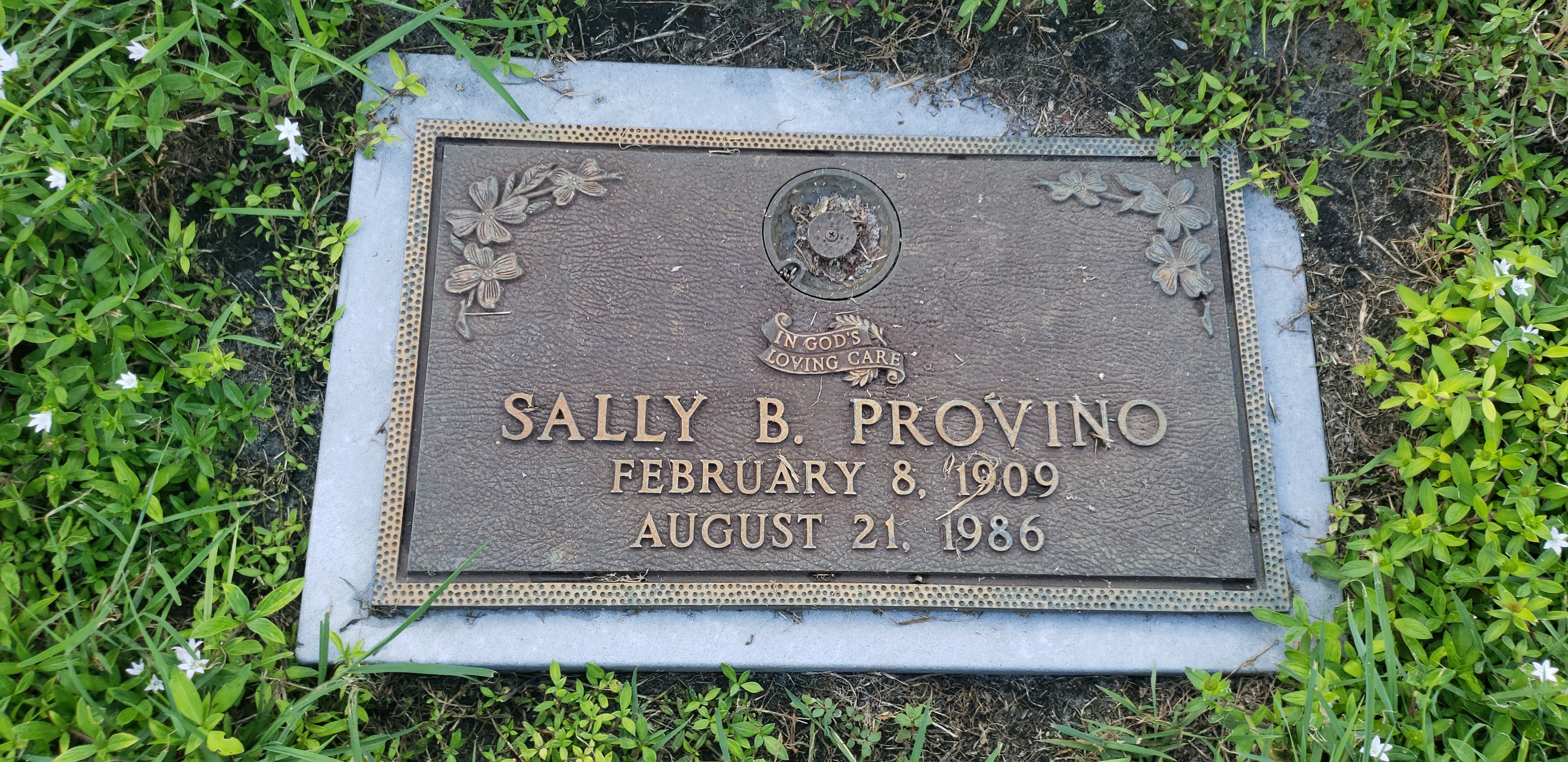 Sally B Provino