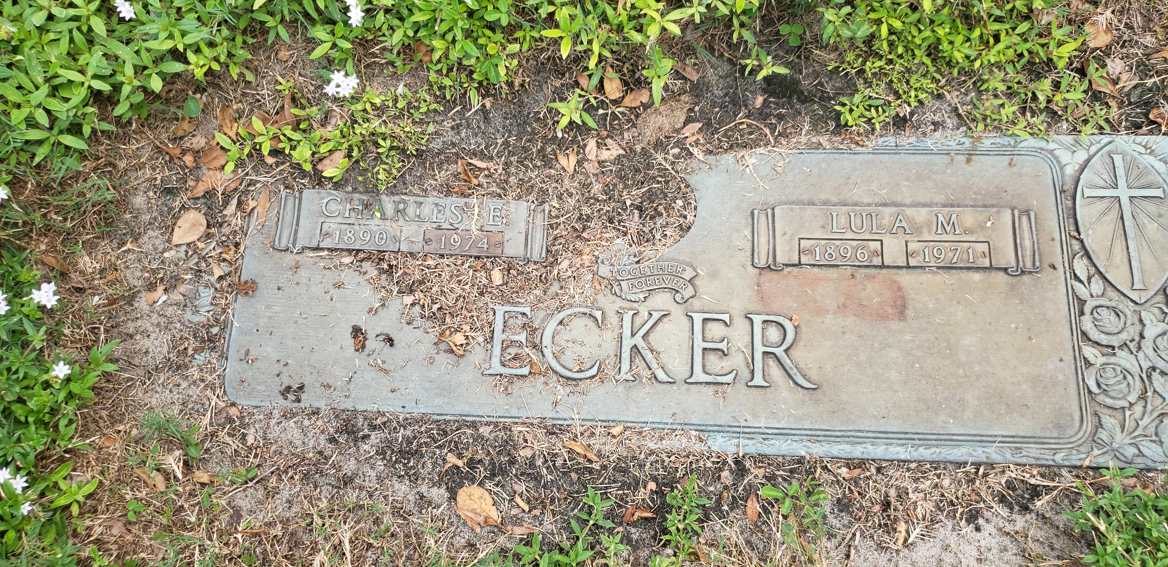 Lula M Ecker