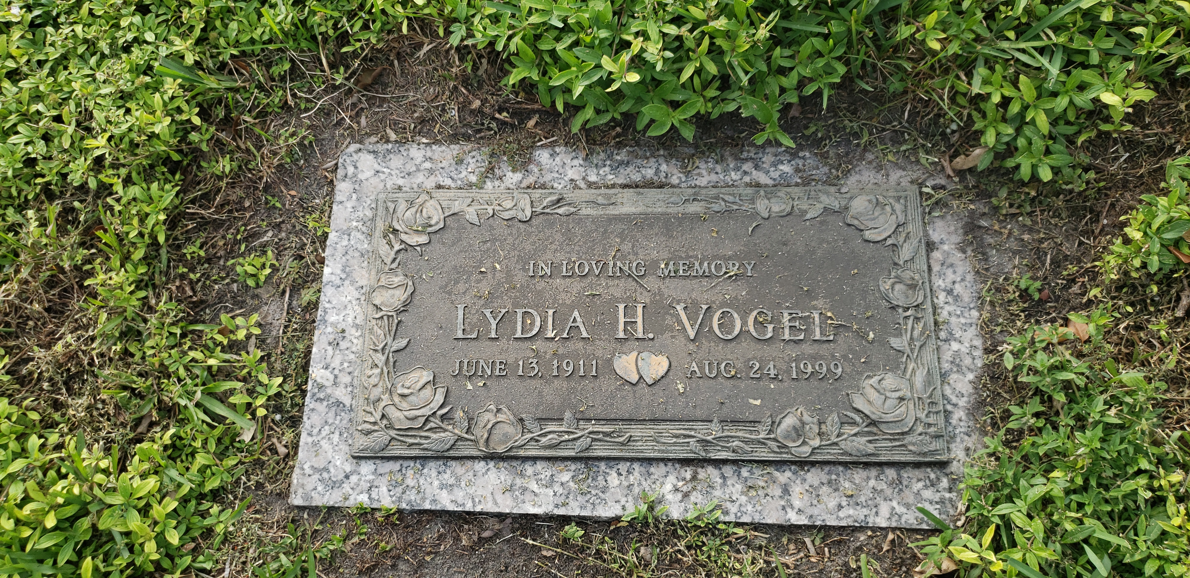Lydia H Vogel