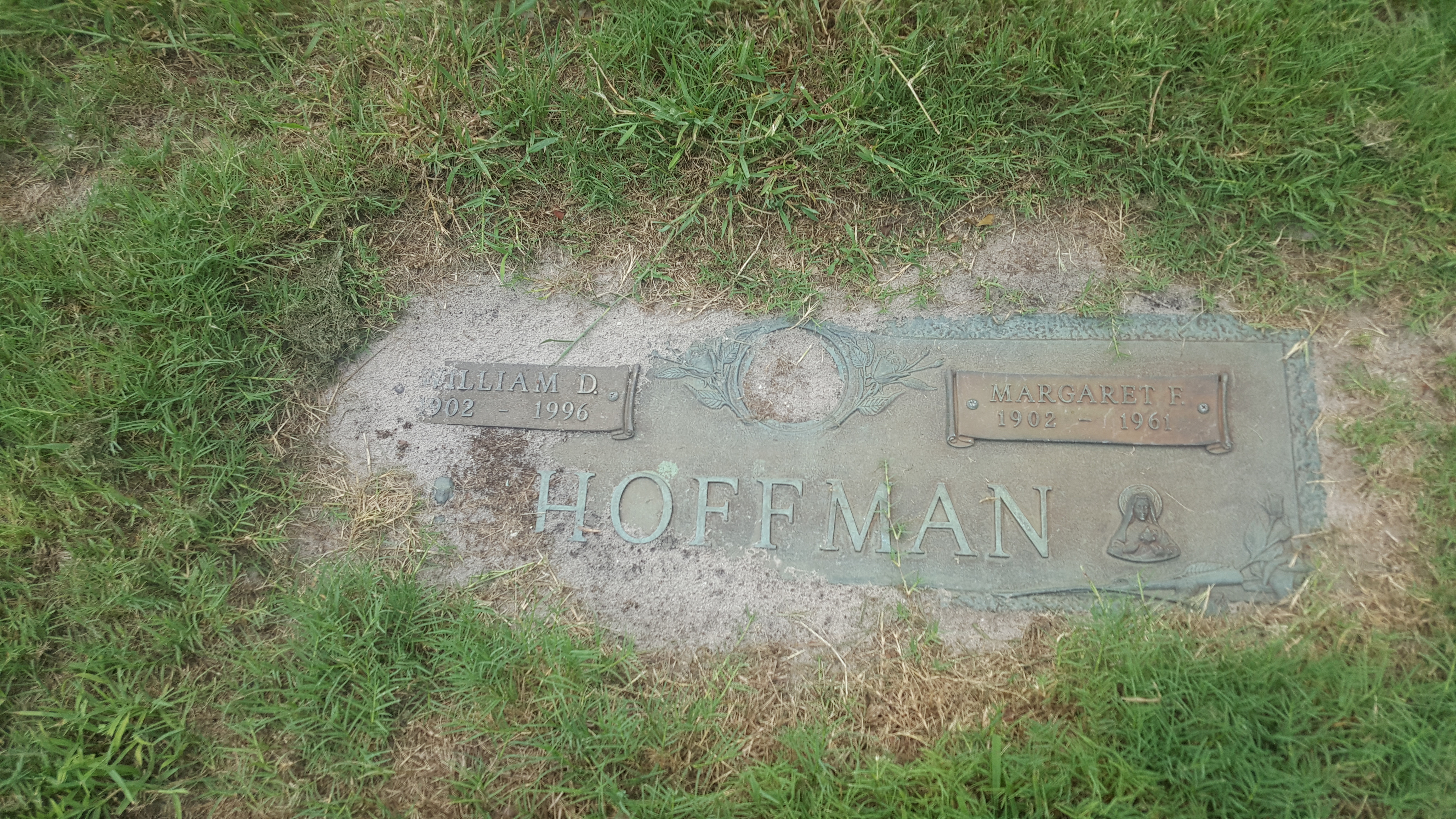 William D Hoffman