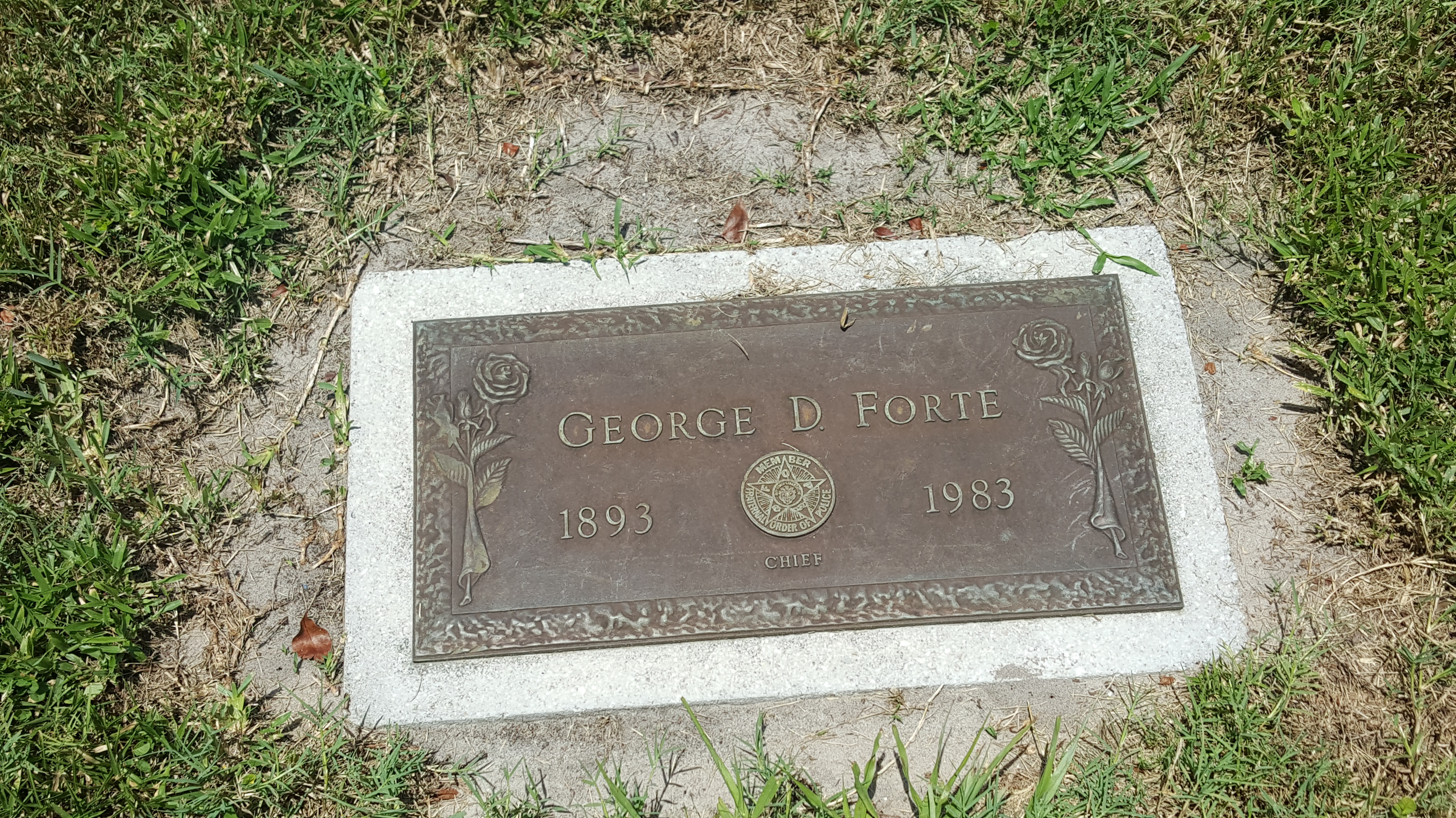 George D Forte