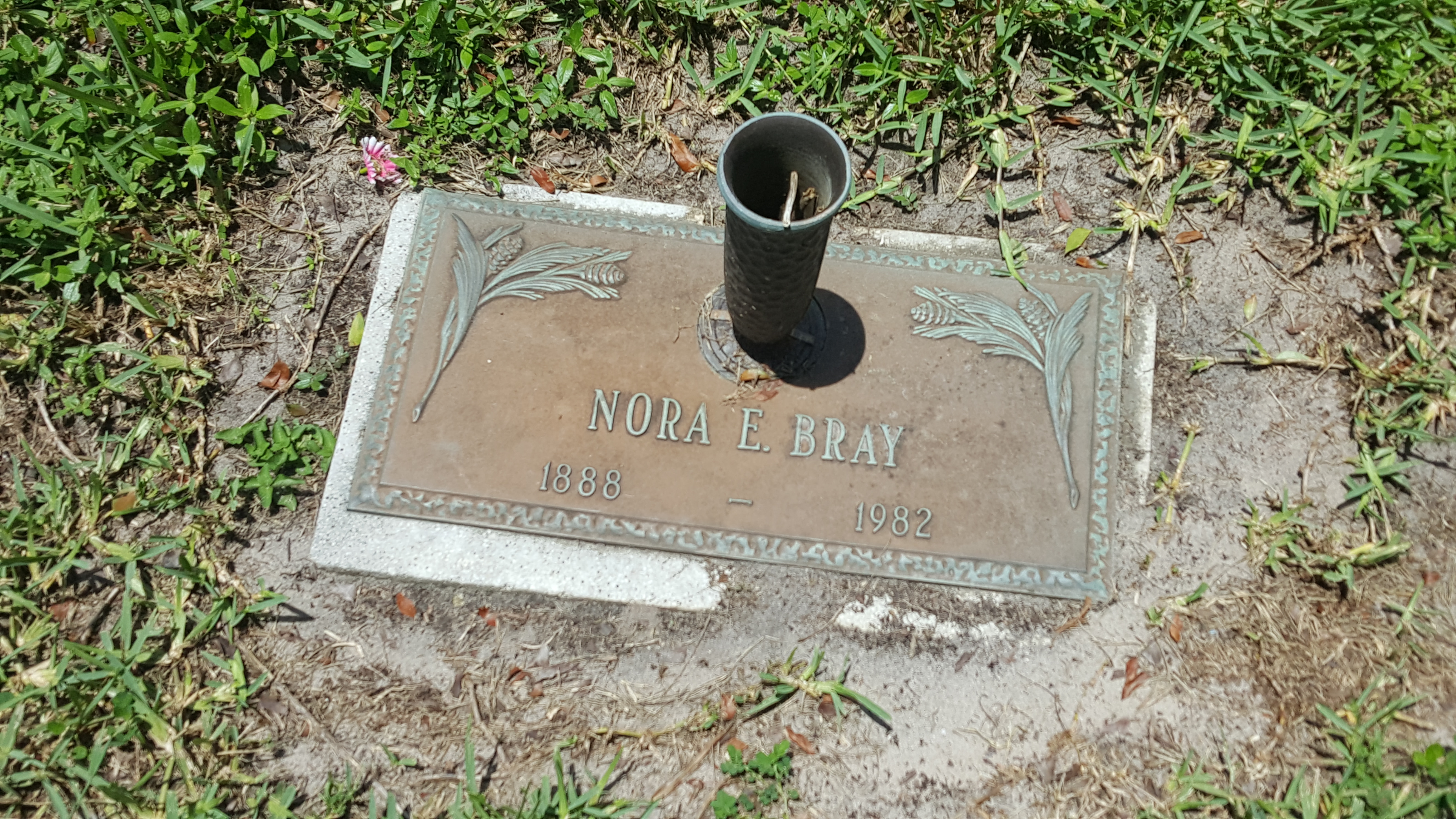 Nora E Bray