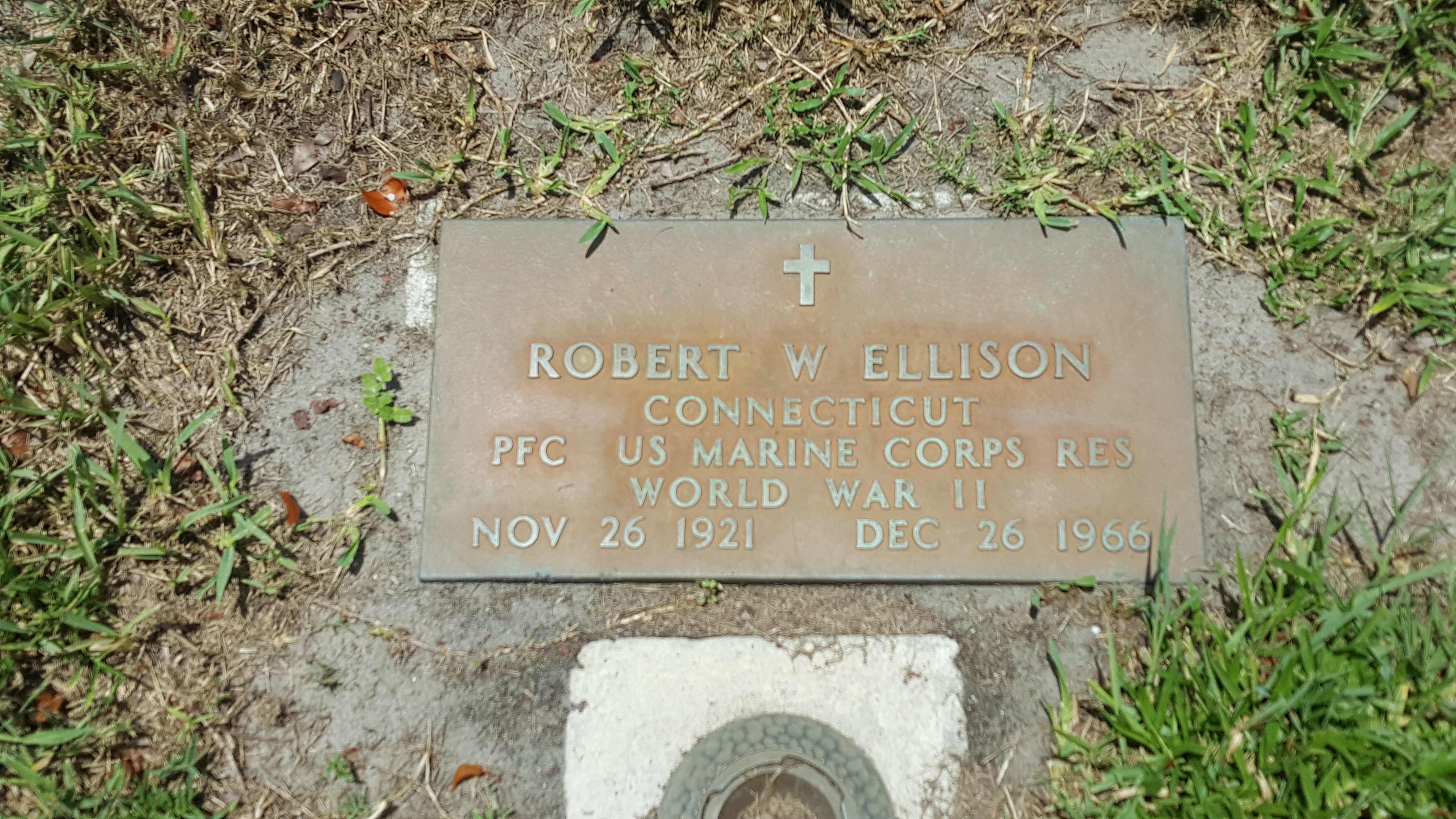 Robert W Ellison