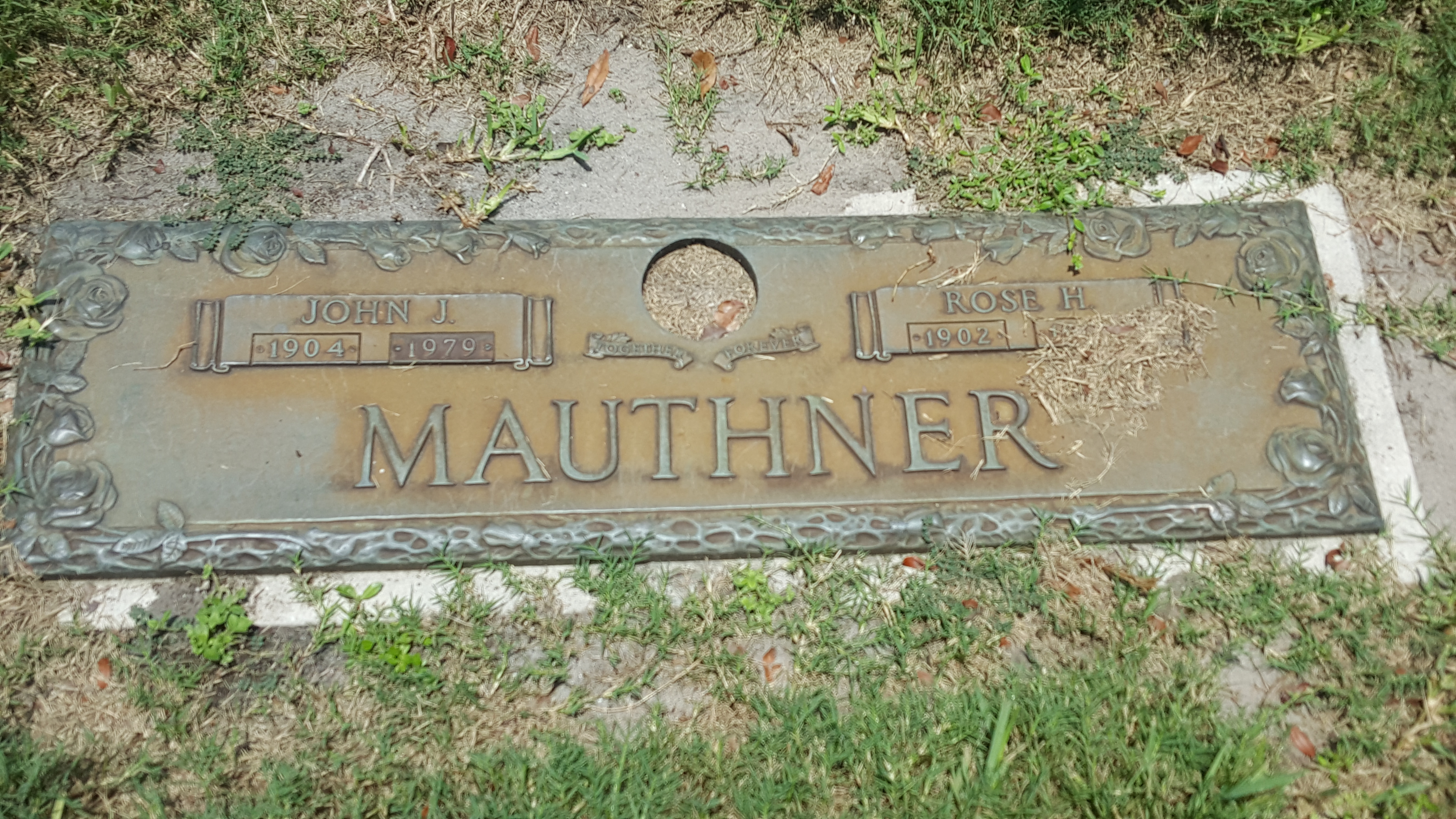 John J Mauthner