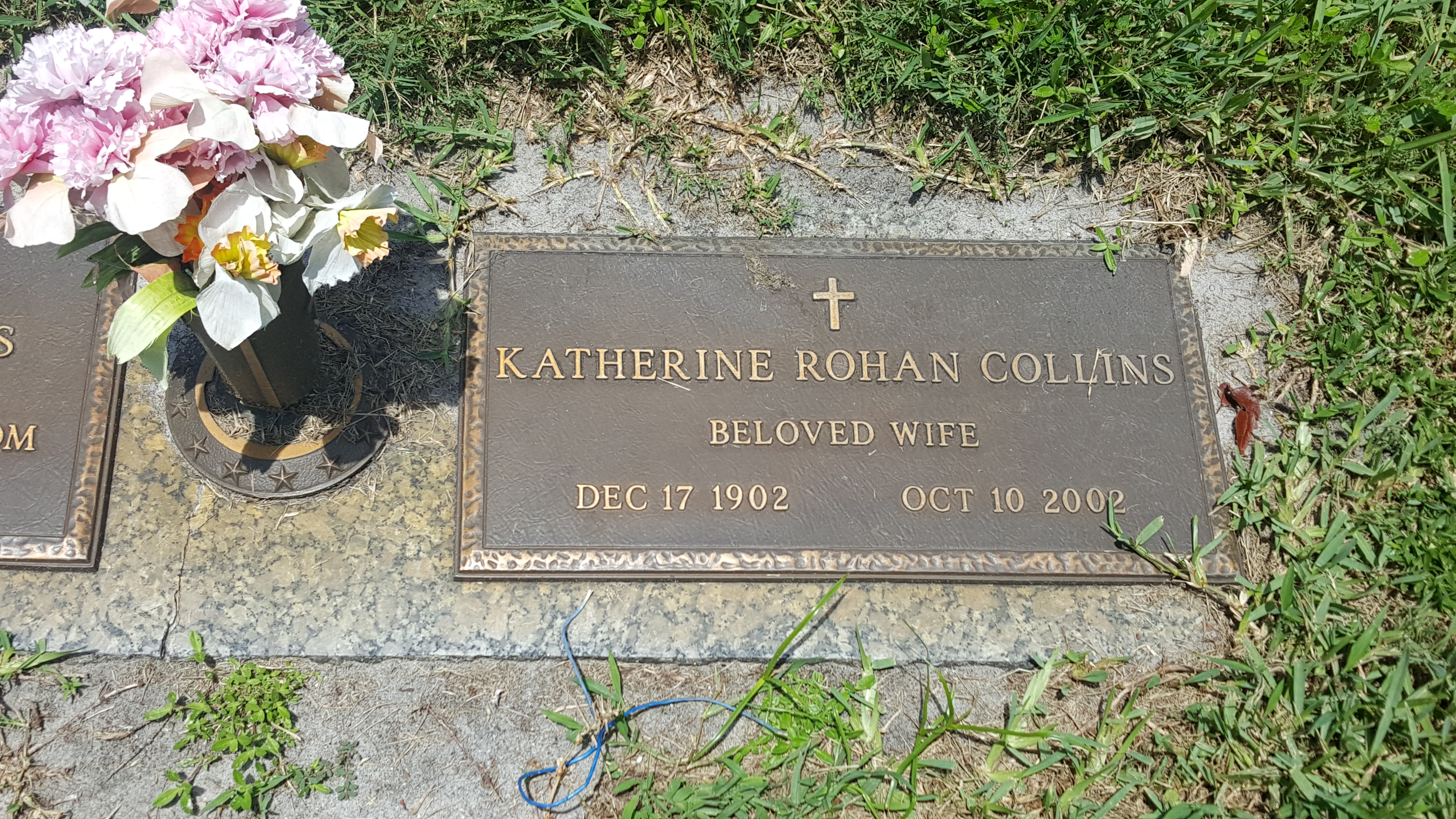 Katherine Rohan Collins