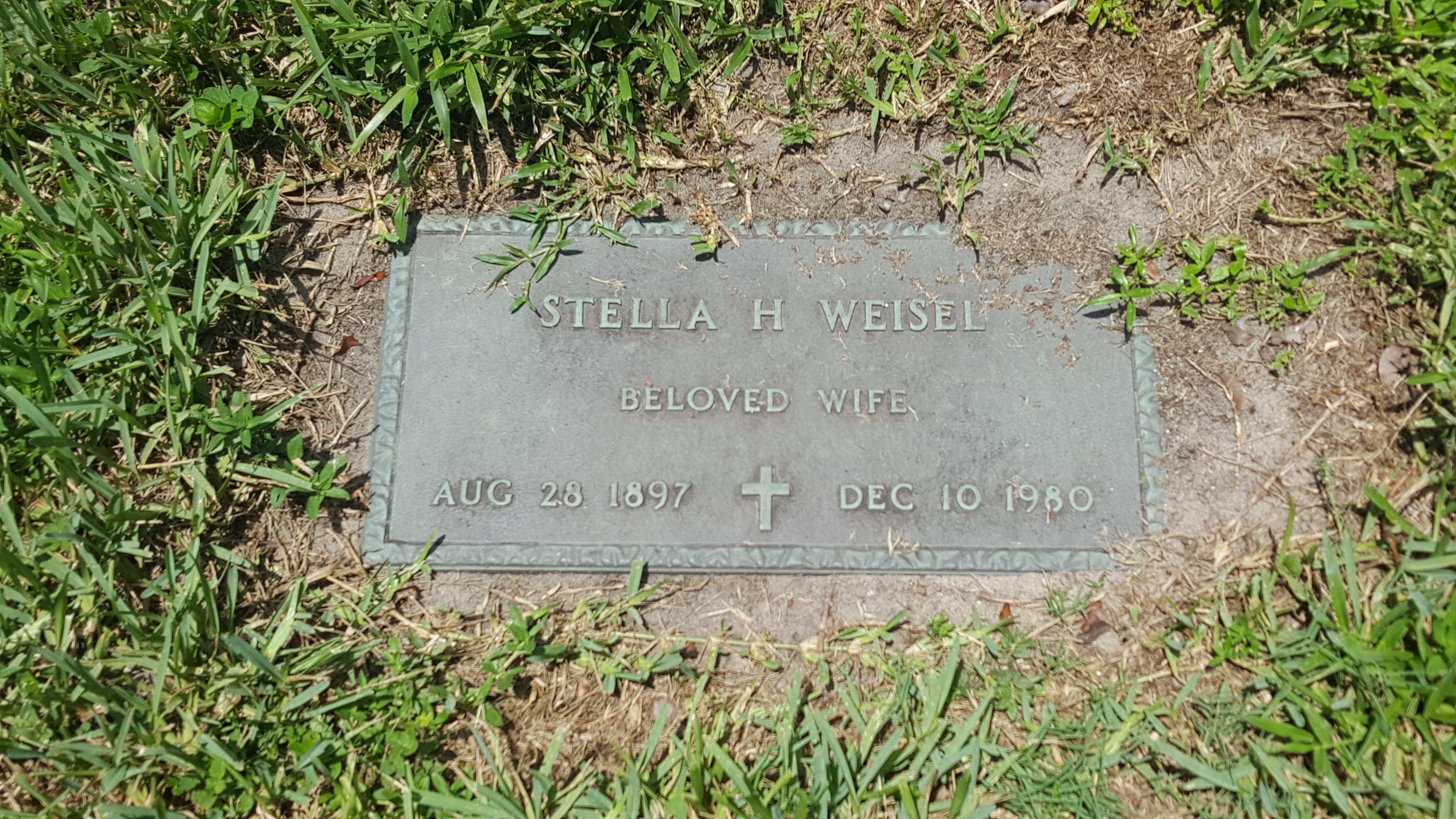 Stella H Weisel