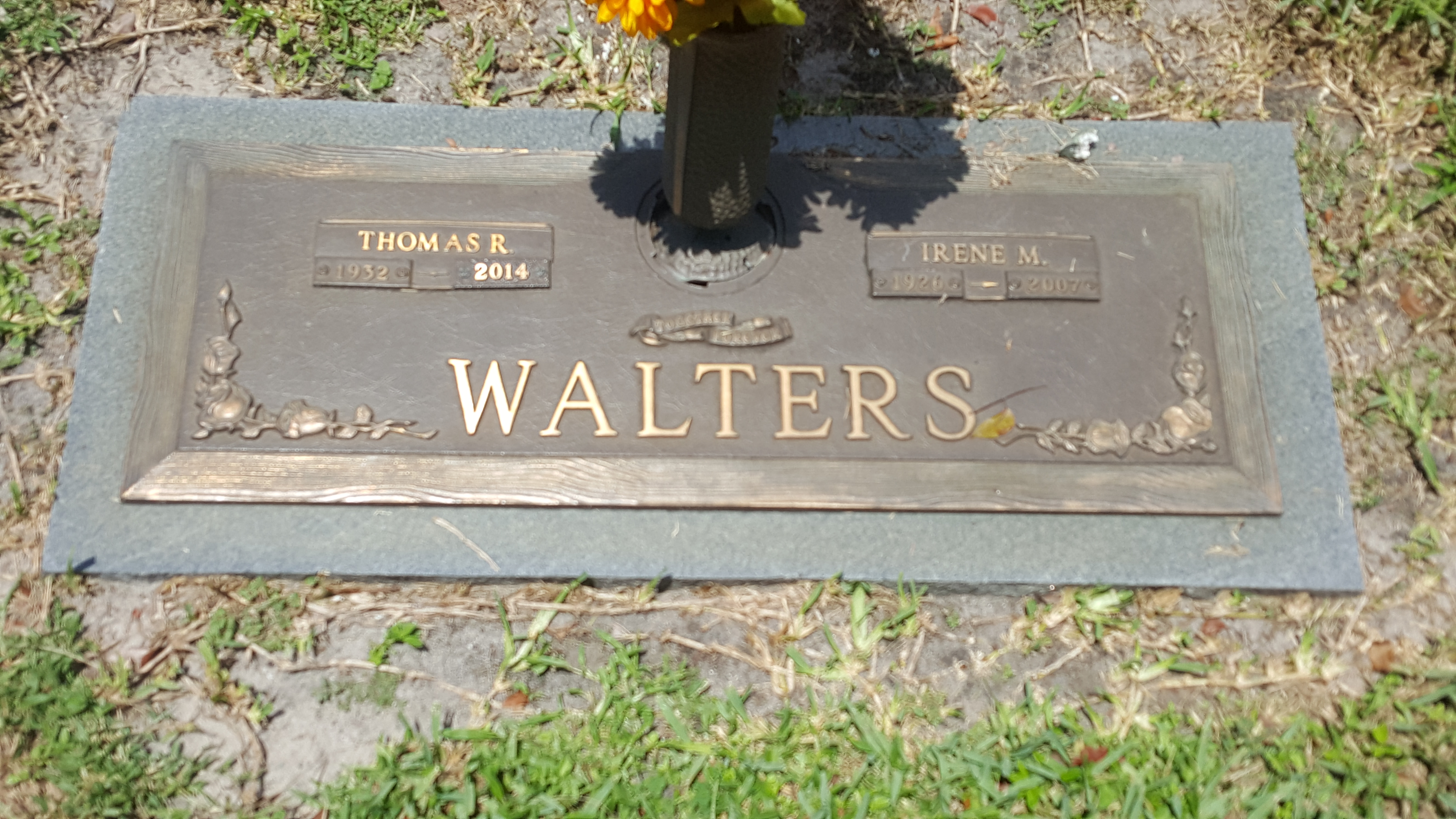 Thomas R Walters