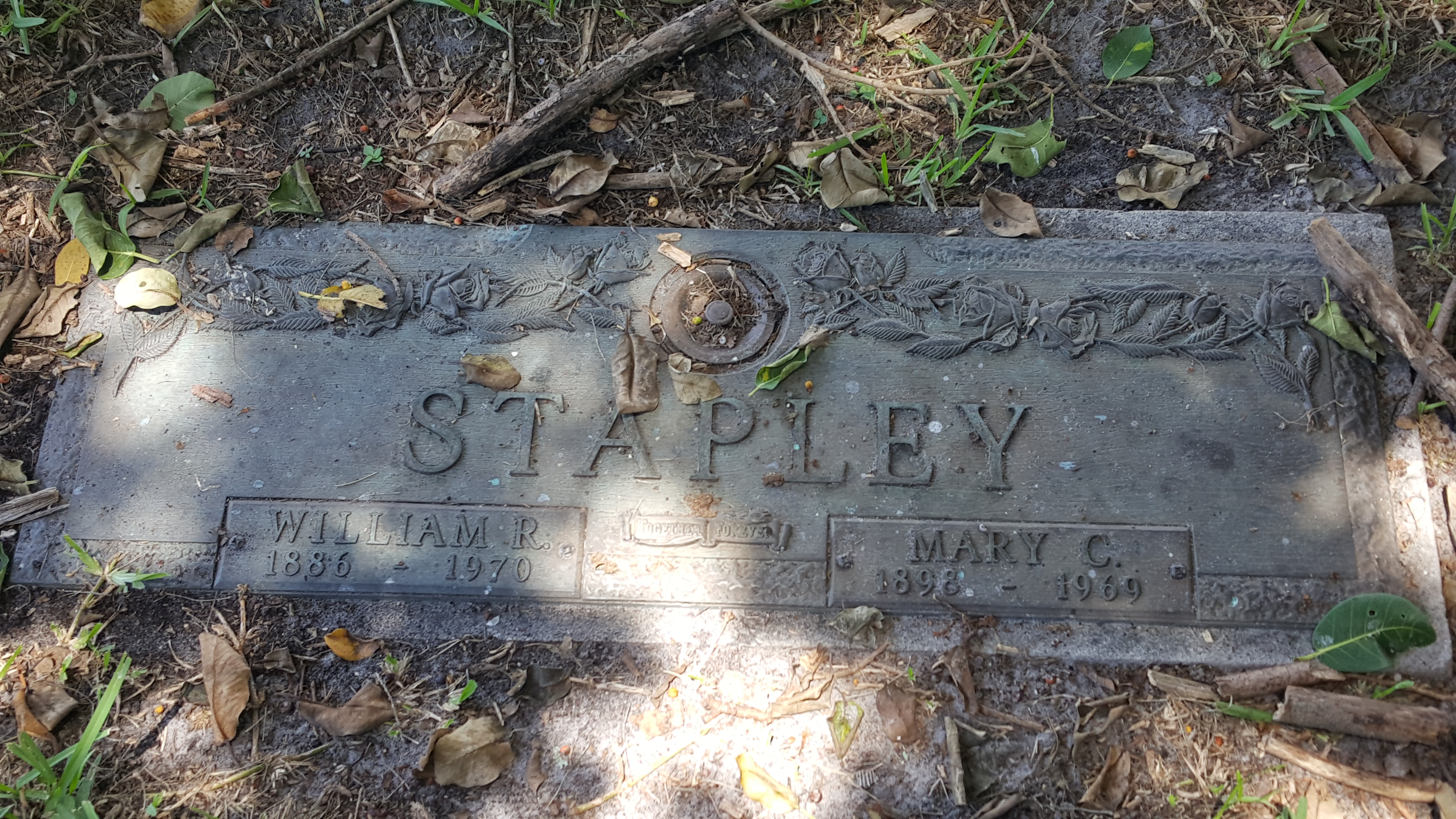 Mary C Stapley