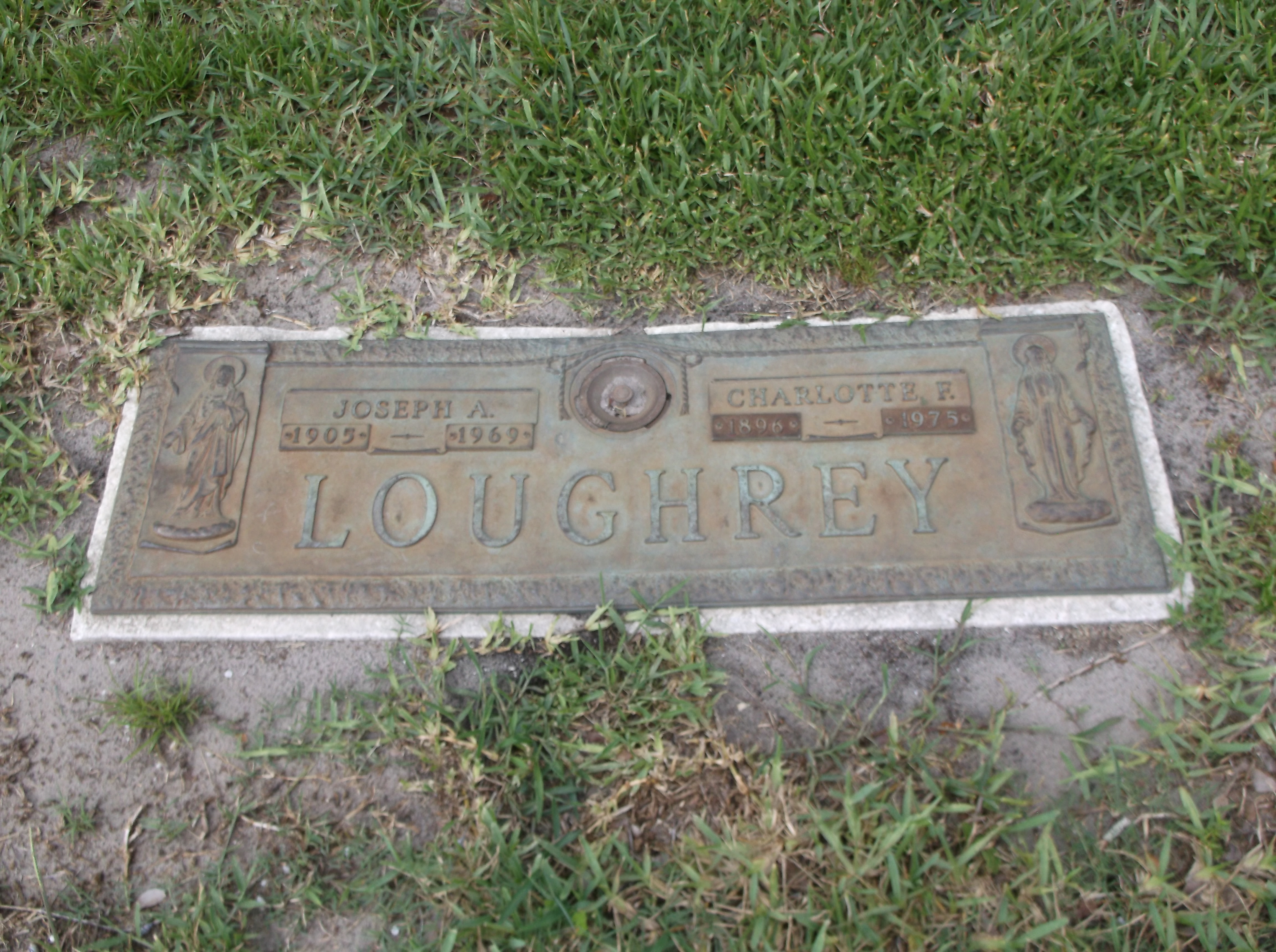 Charlotte F Loughrey
