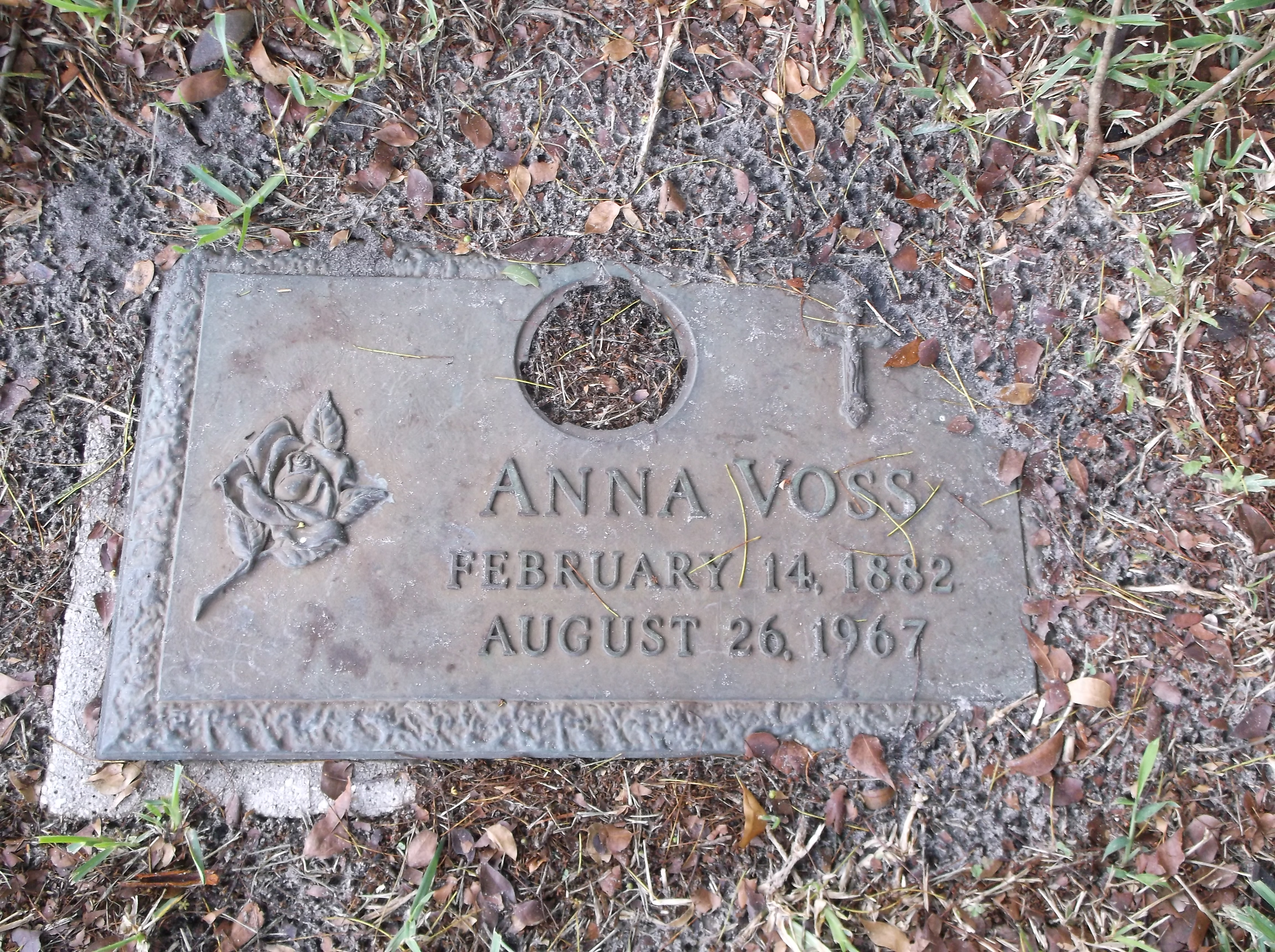 Anna Voss