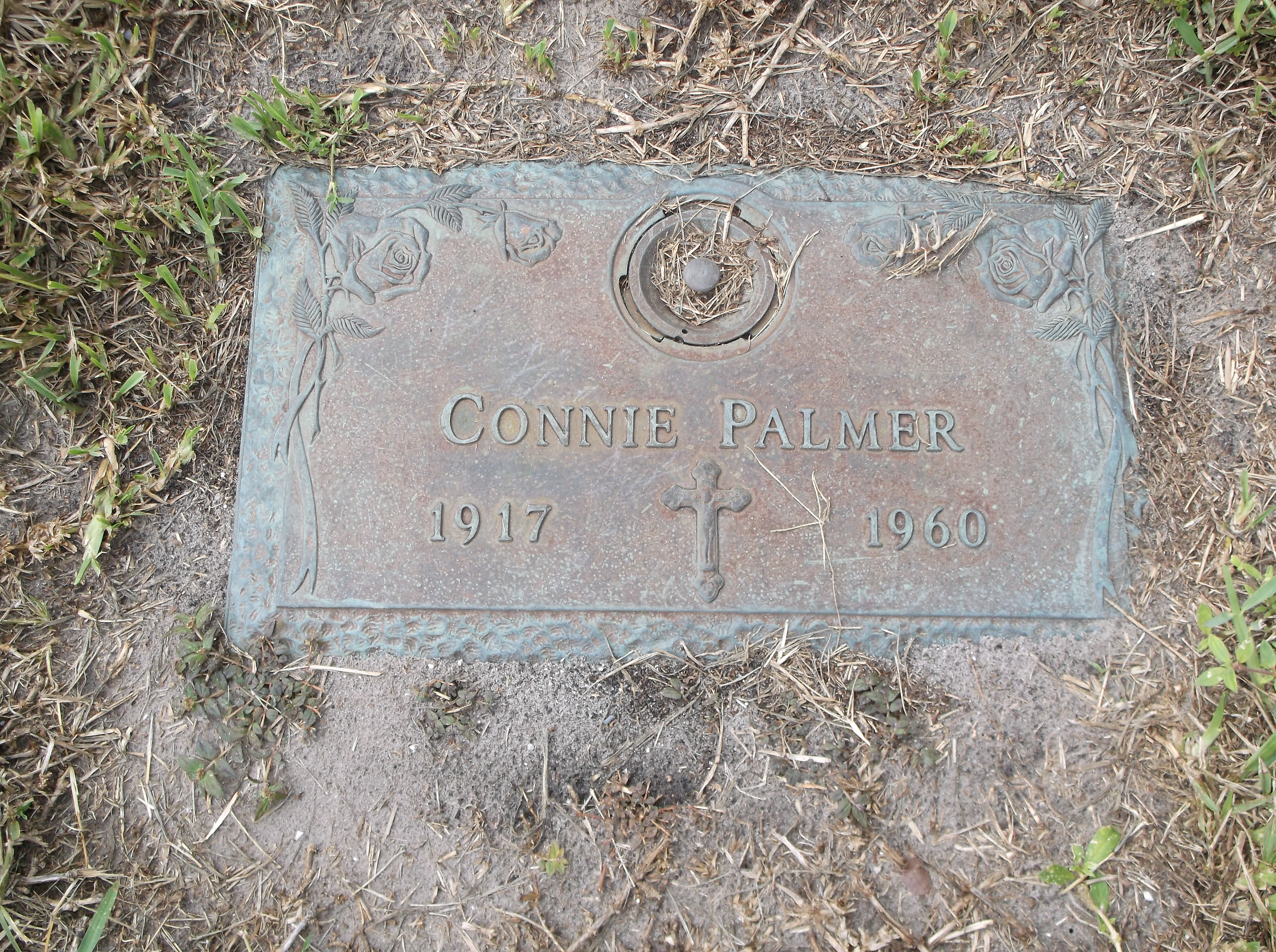 Connie Palmer