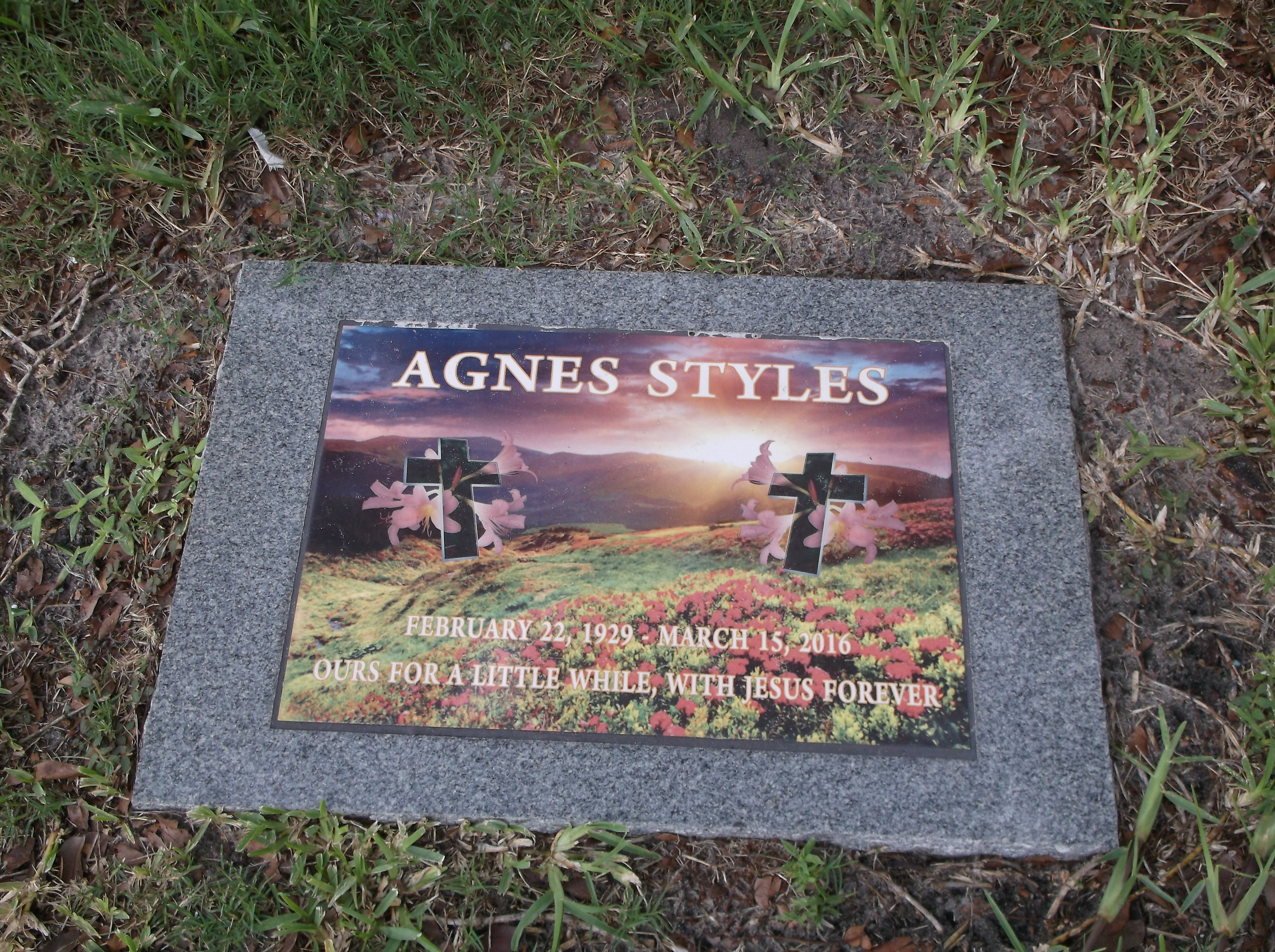 Agnes Styles