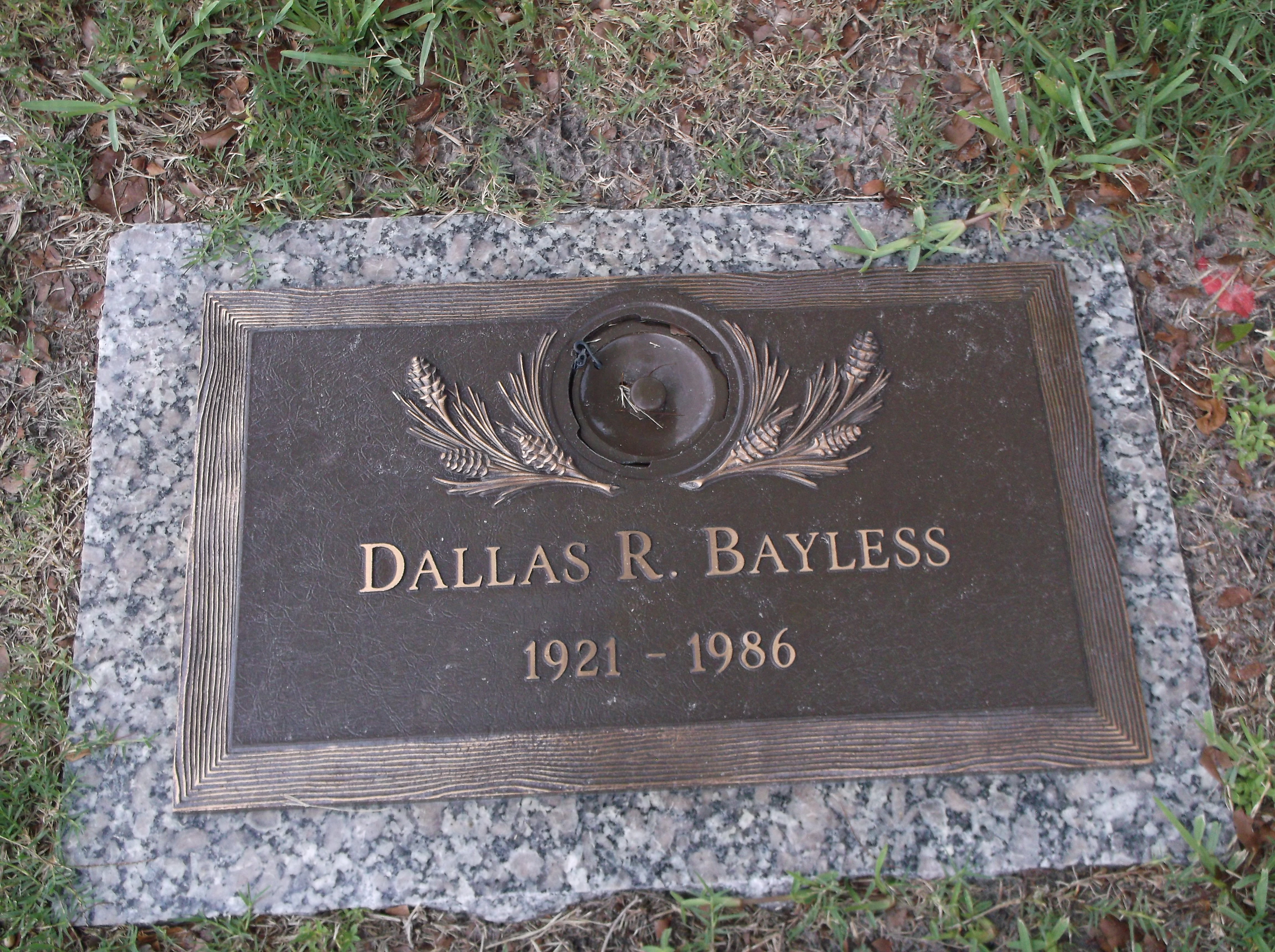 Dallas R Bayless