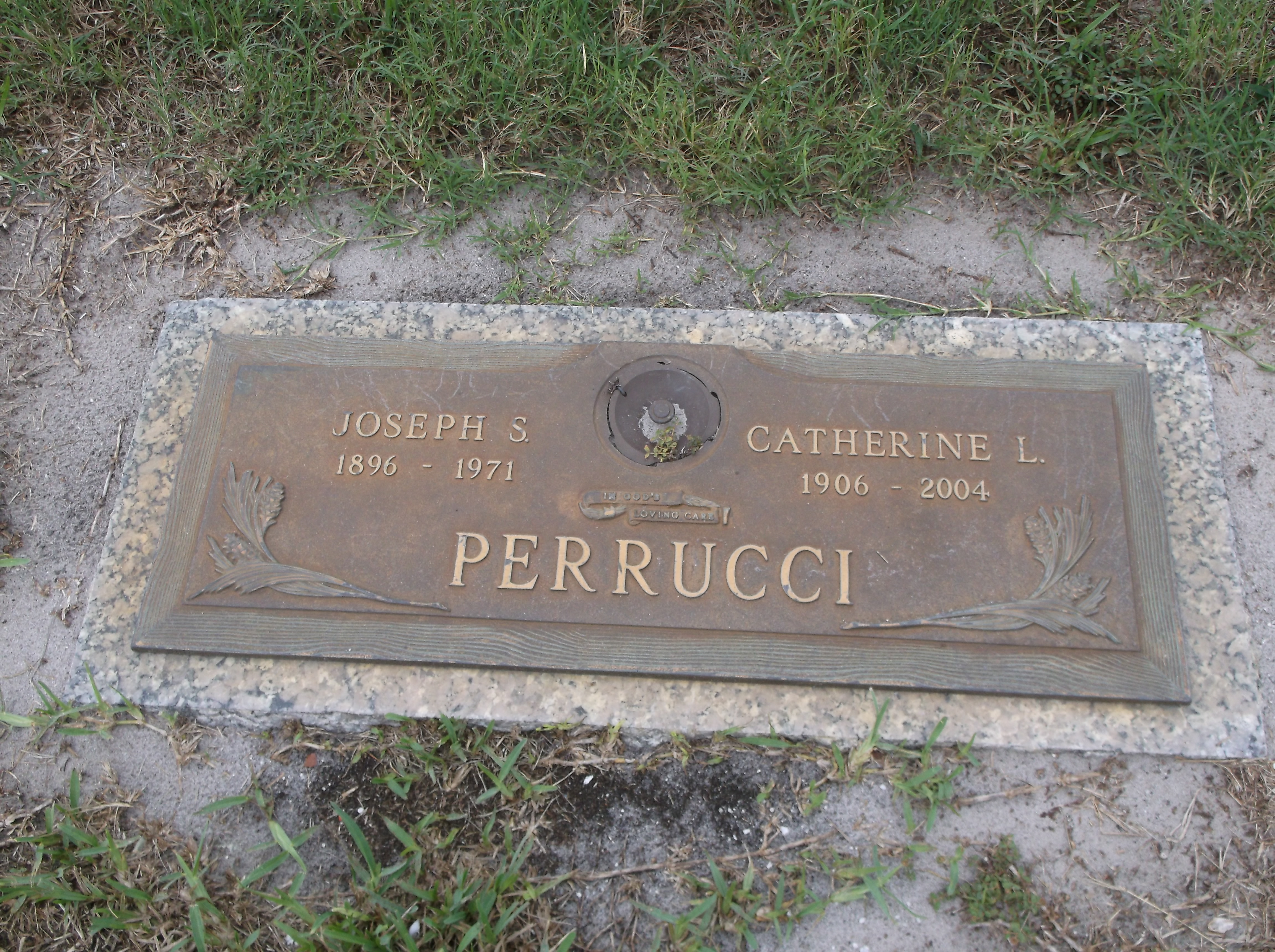 Catherine L Perrucci