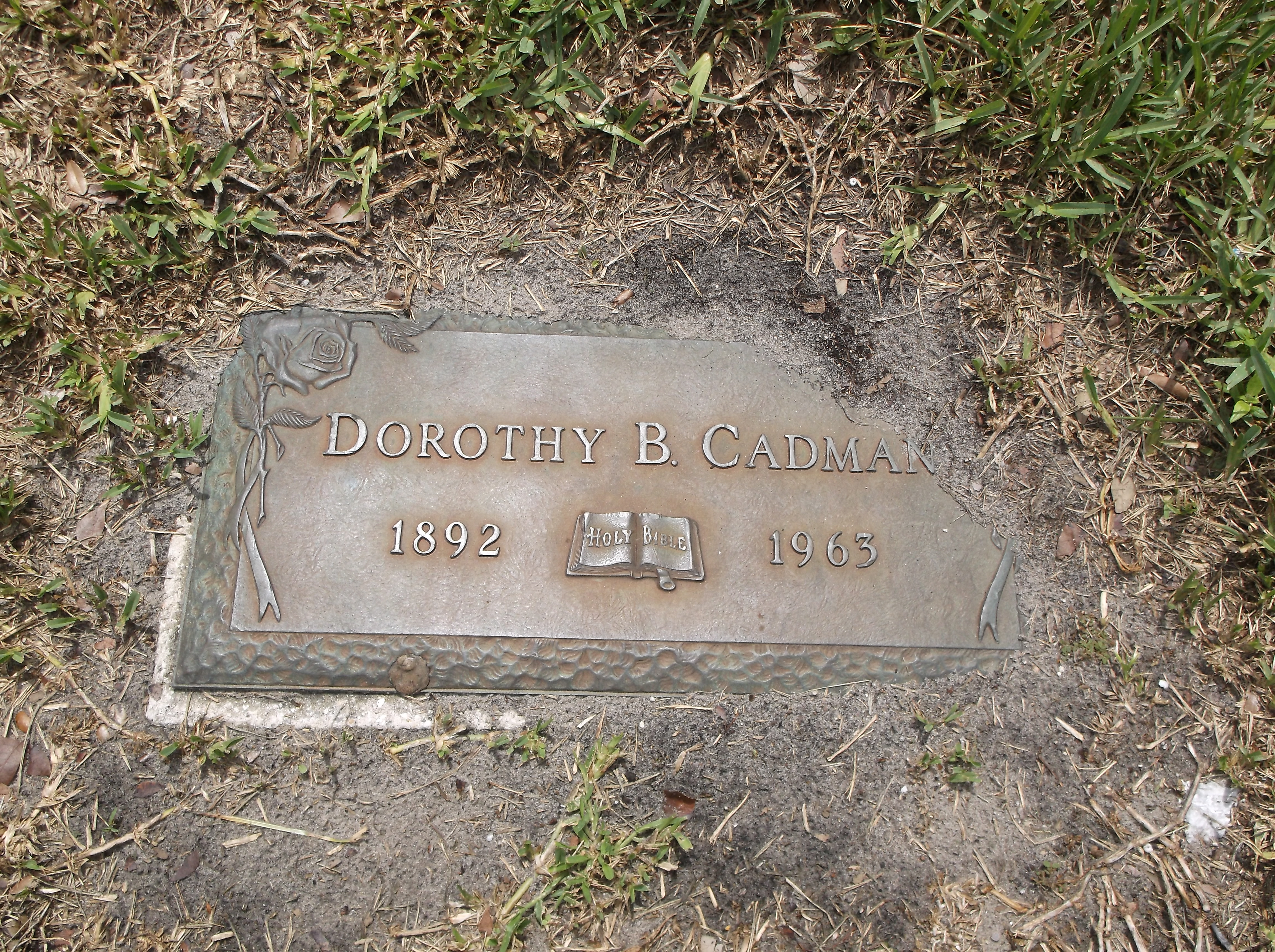 Dorothy B Cadman