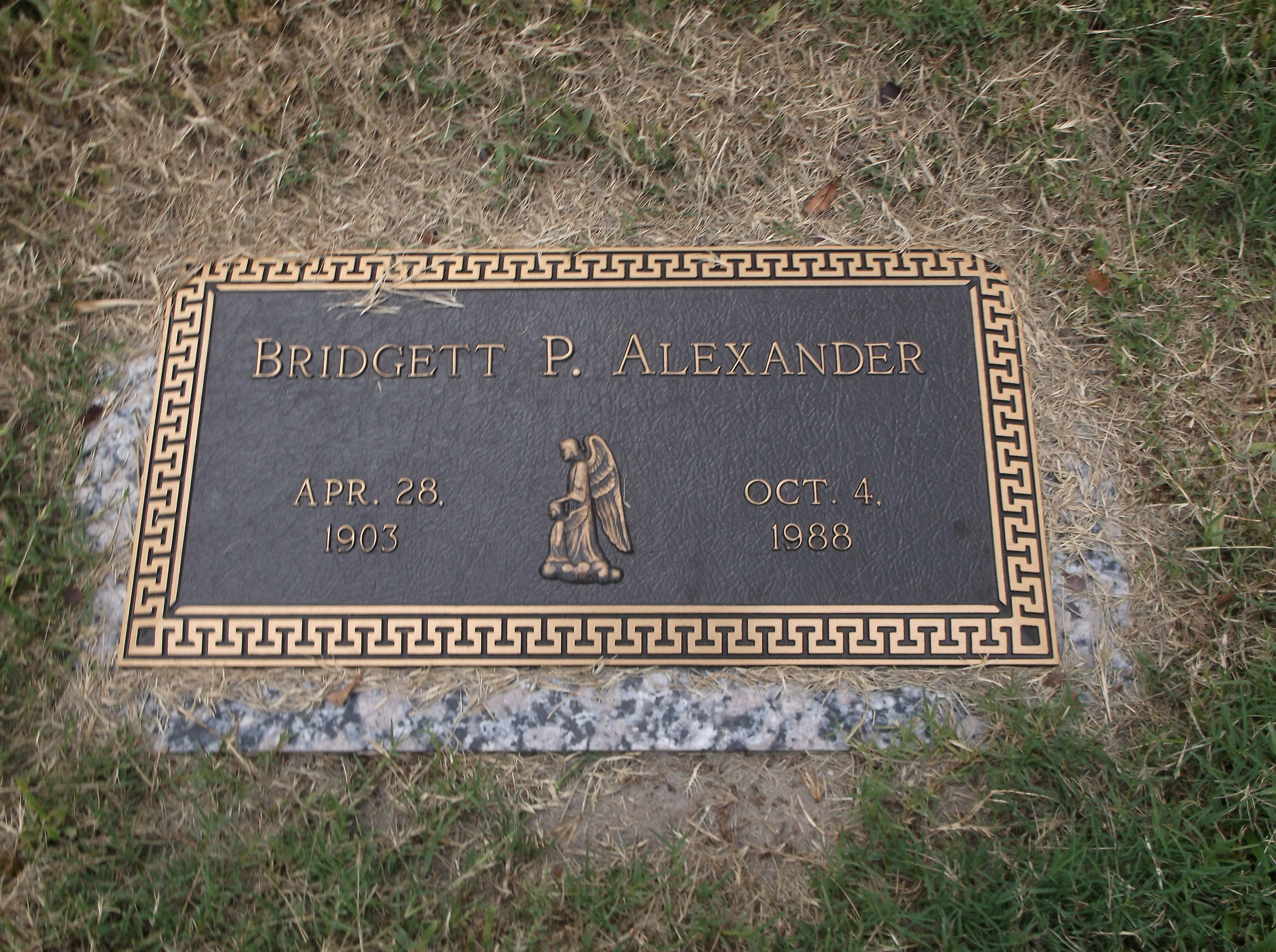 Bridgett P Alexander