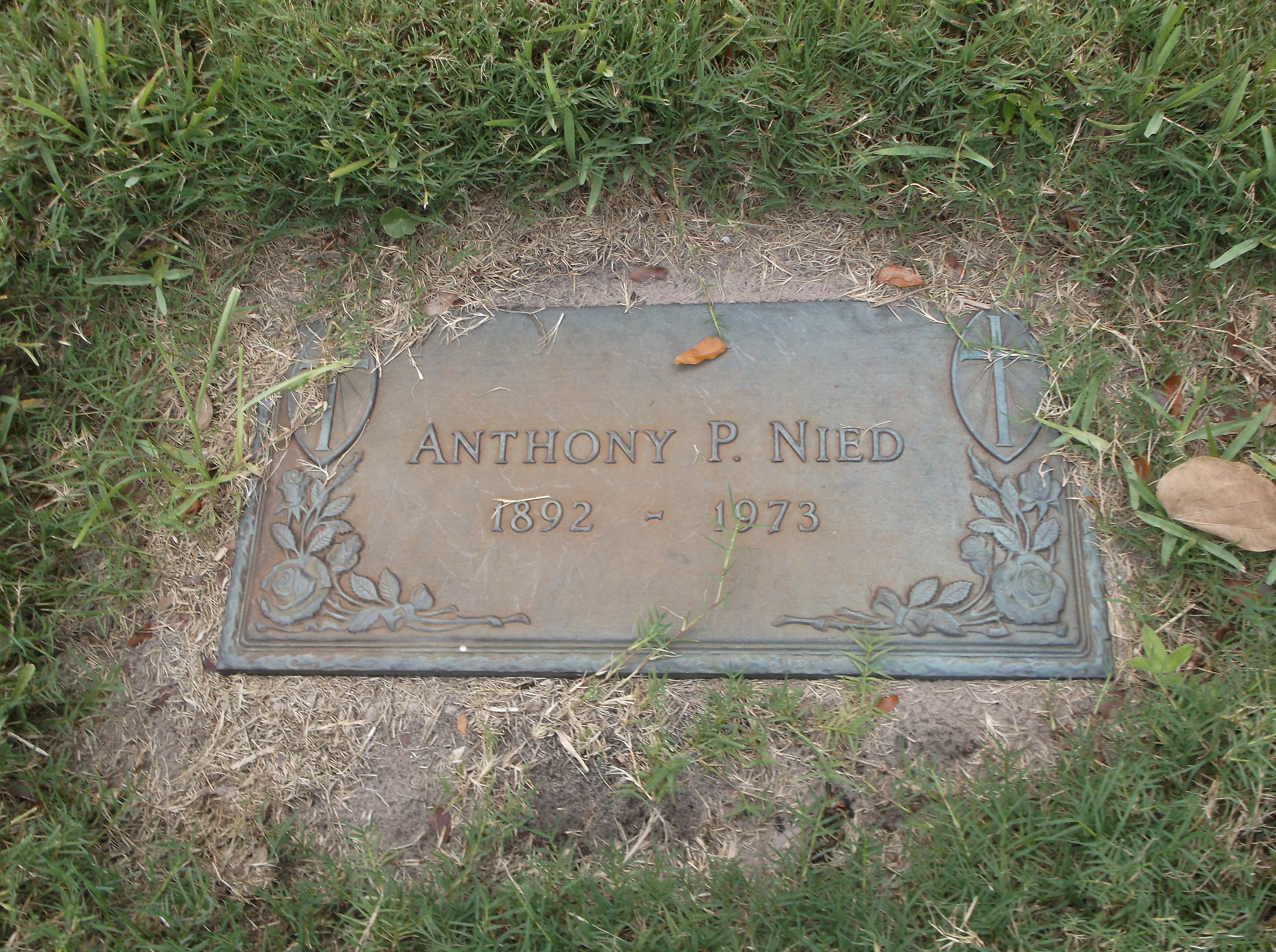 Anthony P Nied