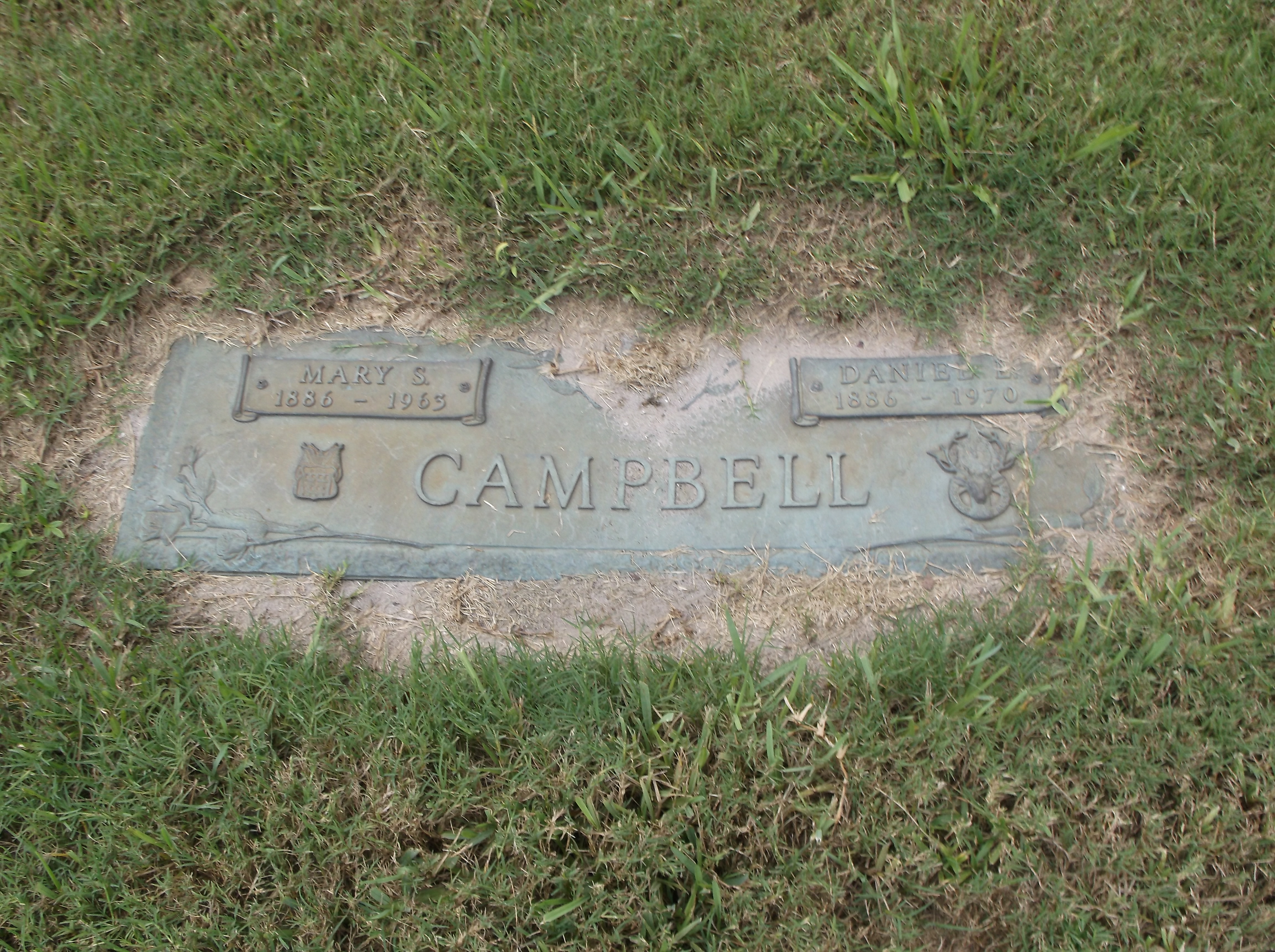 Daniel L Campbell