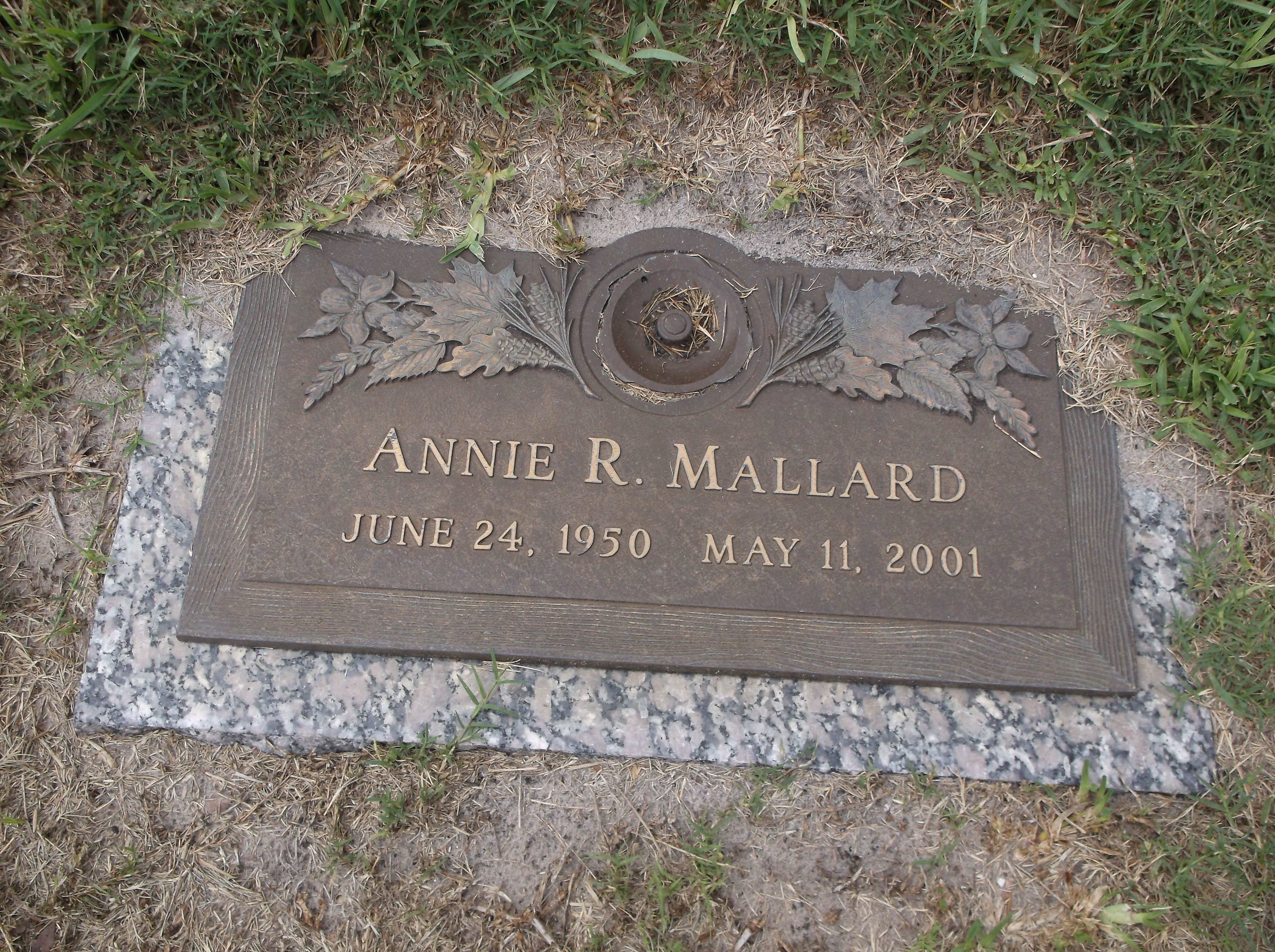 Annie R Mallard