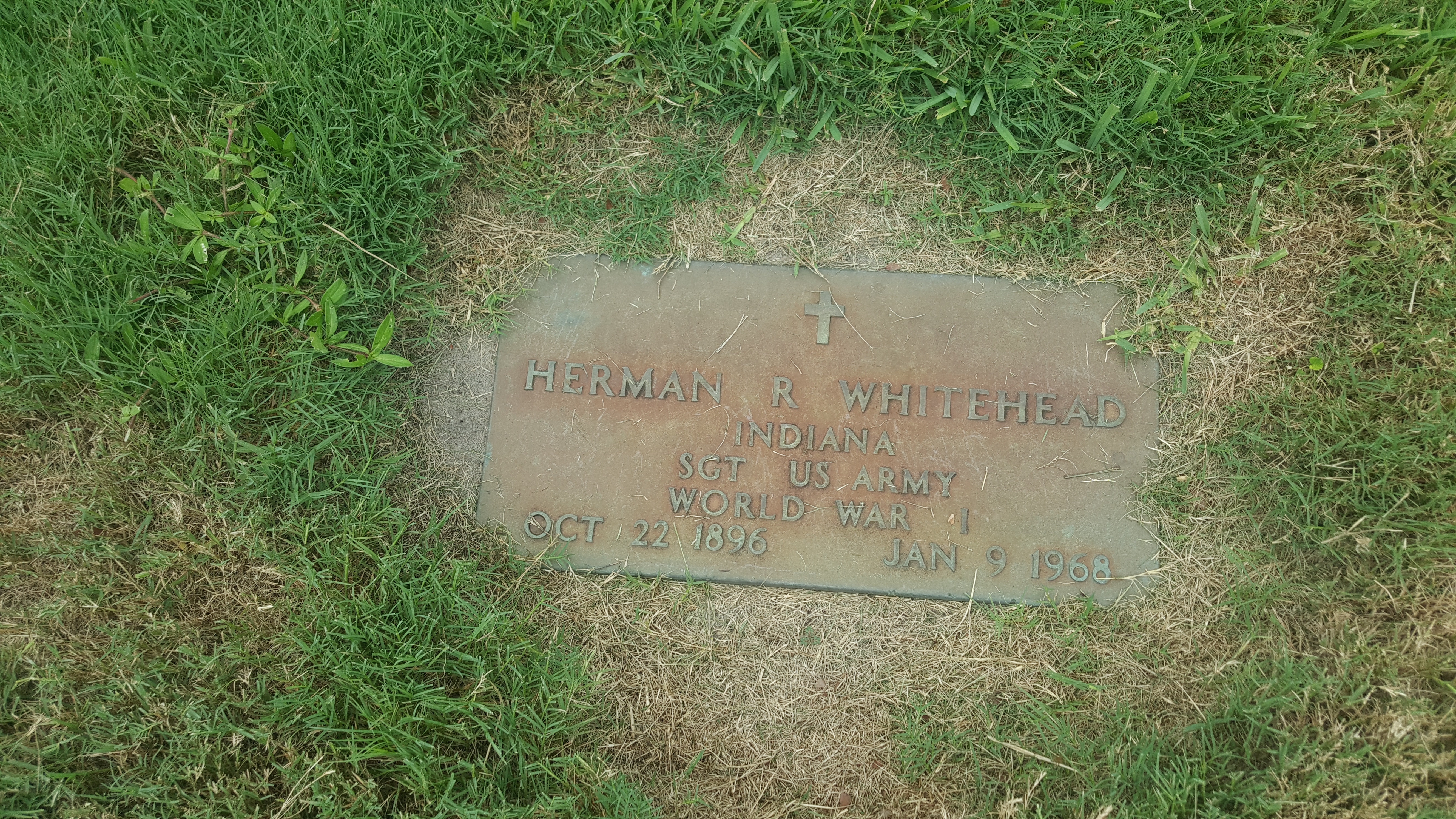 Herman R Whitehead