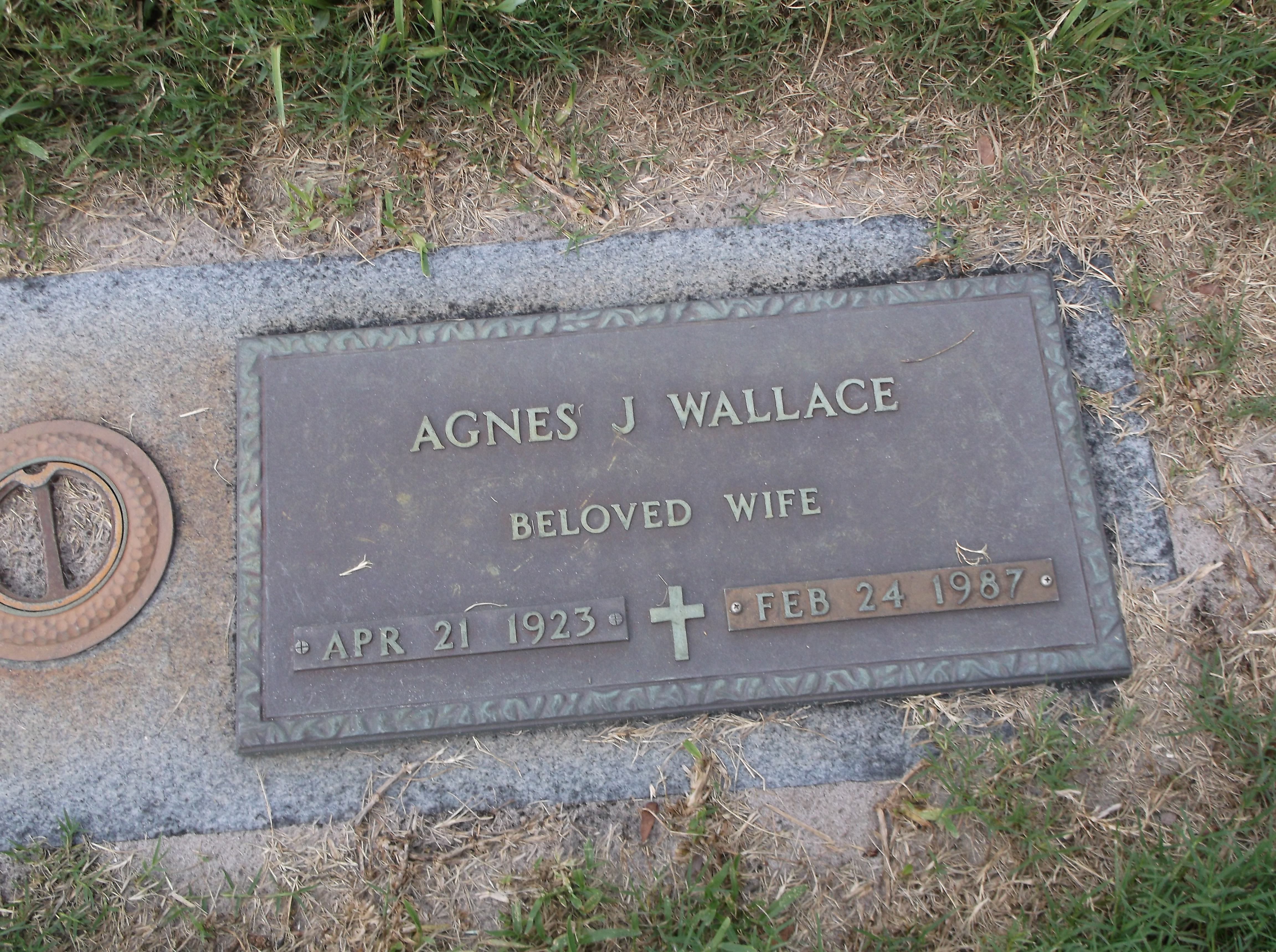 Agnes J Wallace