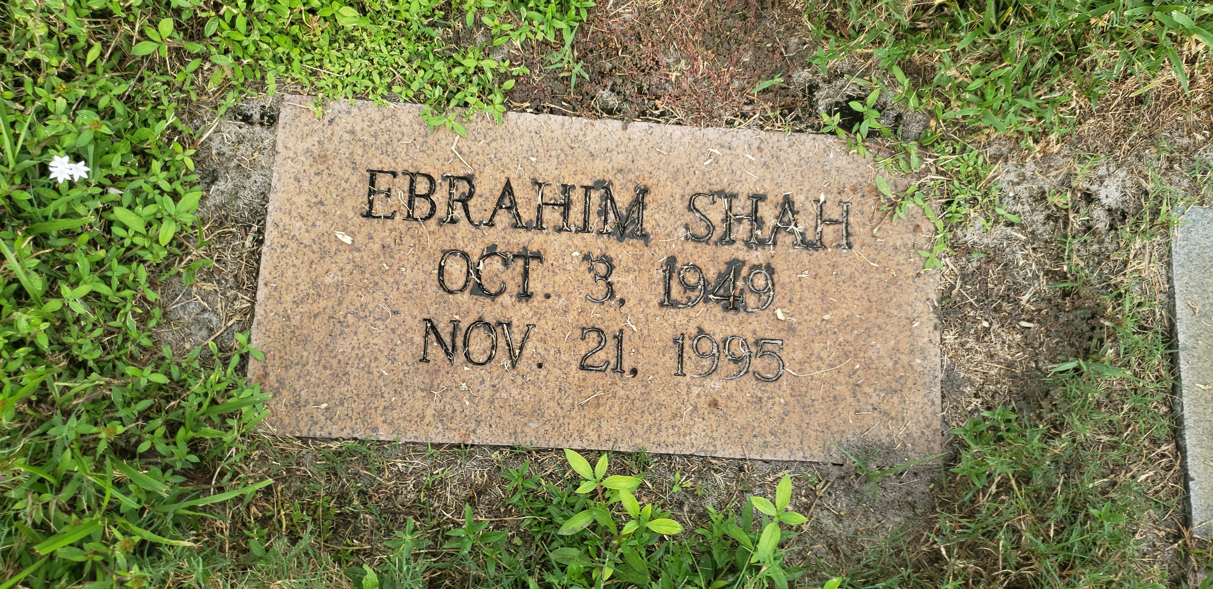 Ebrahim Shah