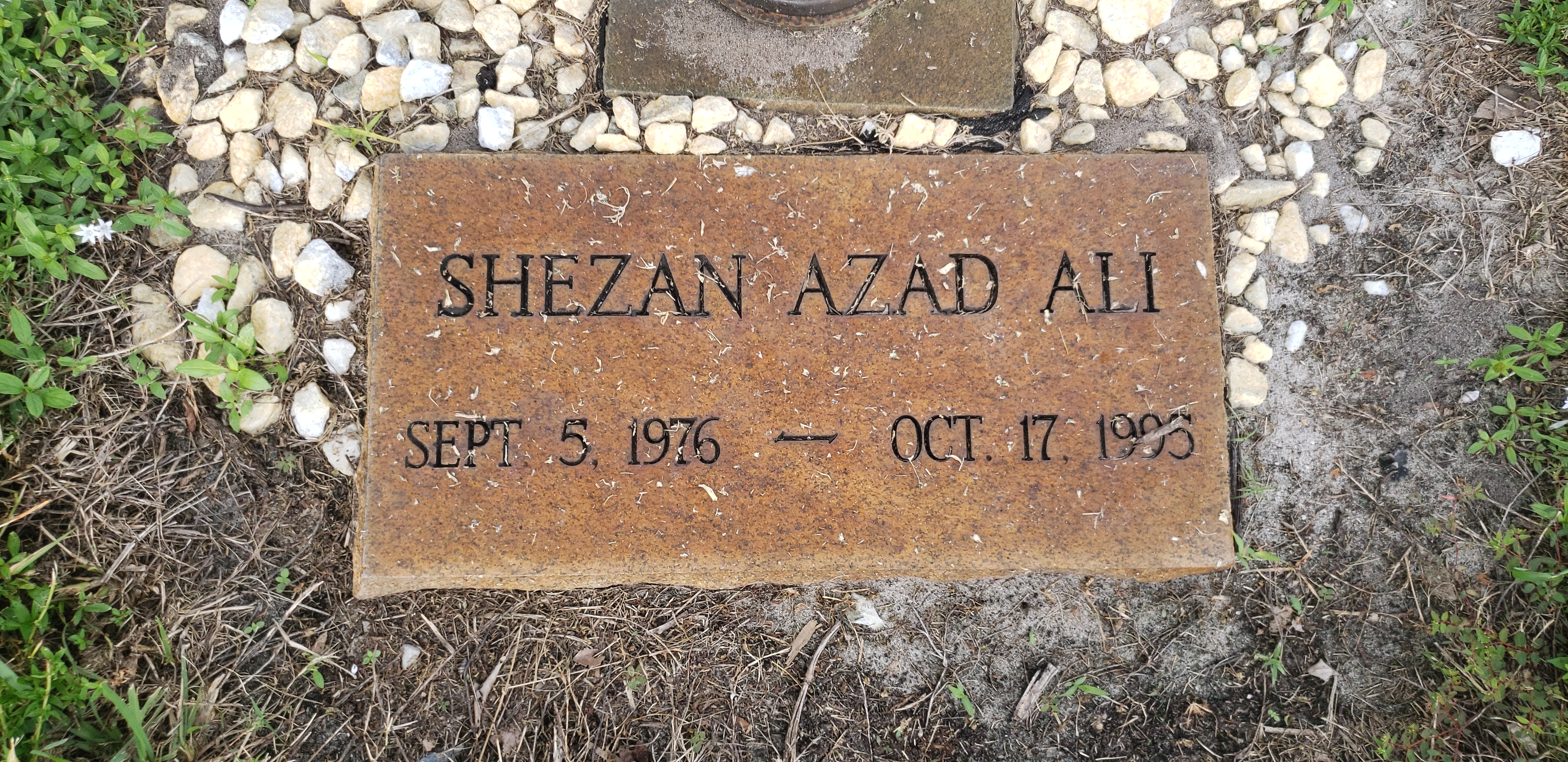 Shezan Azad Ali