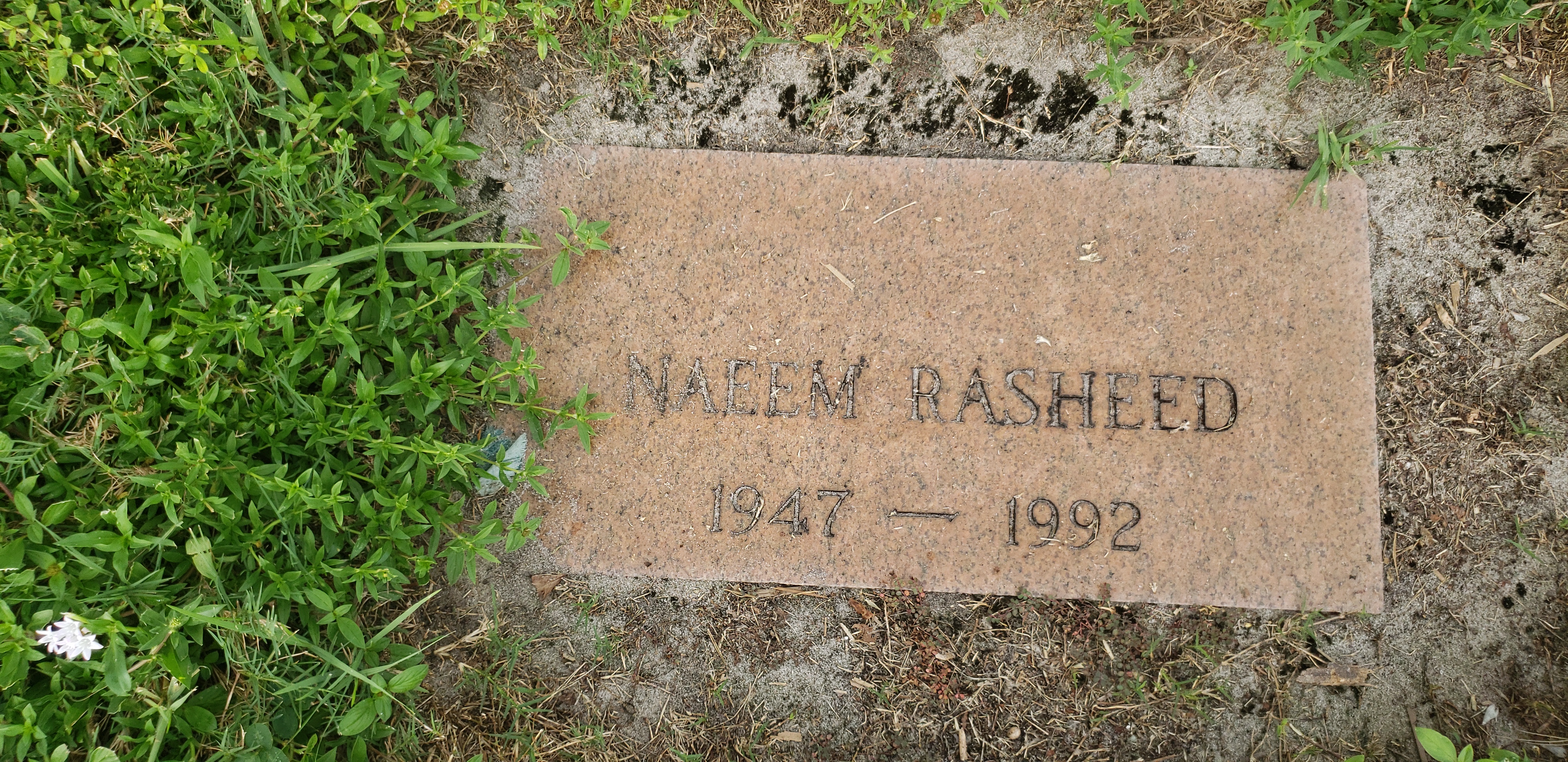 Naeem Rasheed