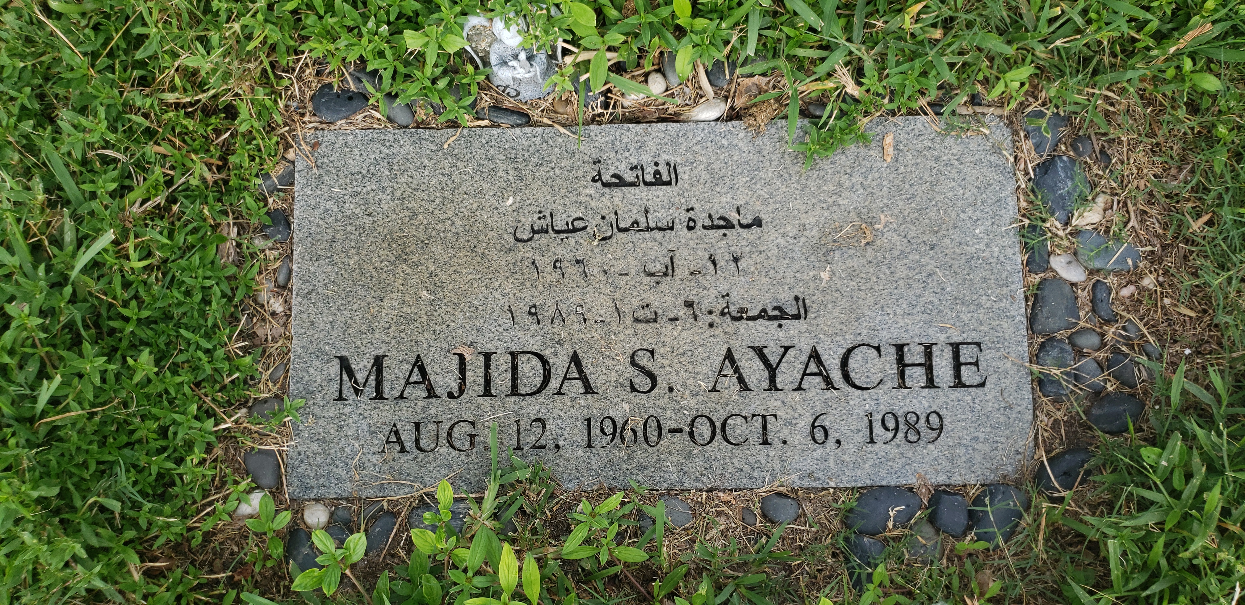 Majida S Ayache