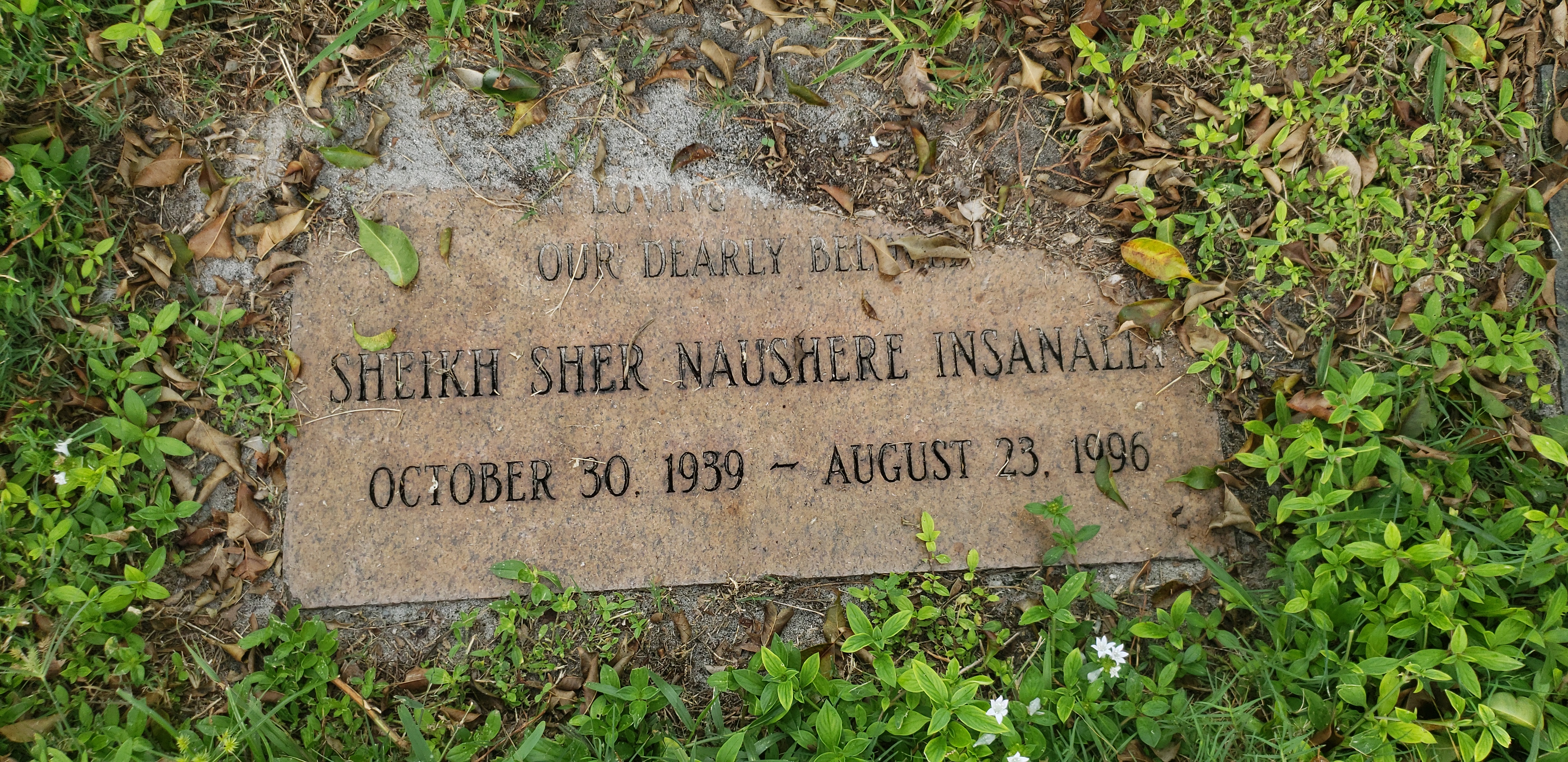 Sheikh Sher Naushere Insanally