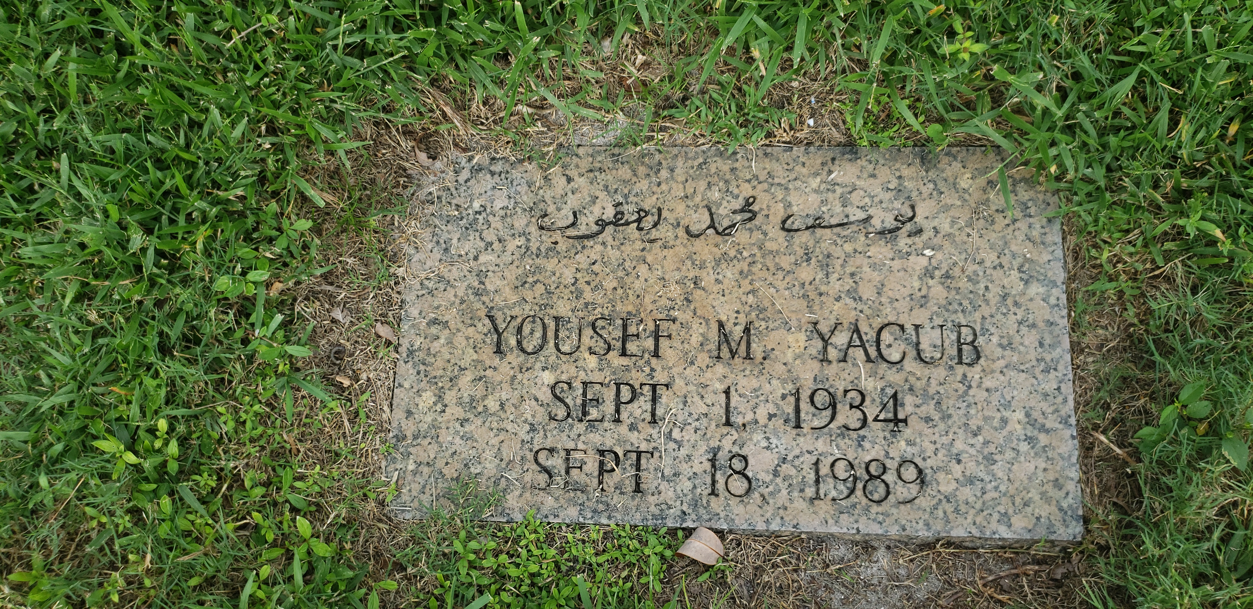 Yousef M Yacub