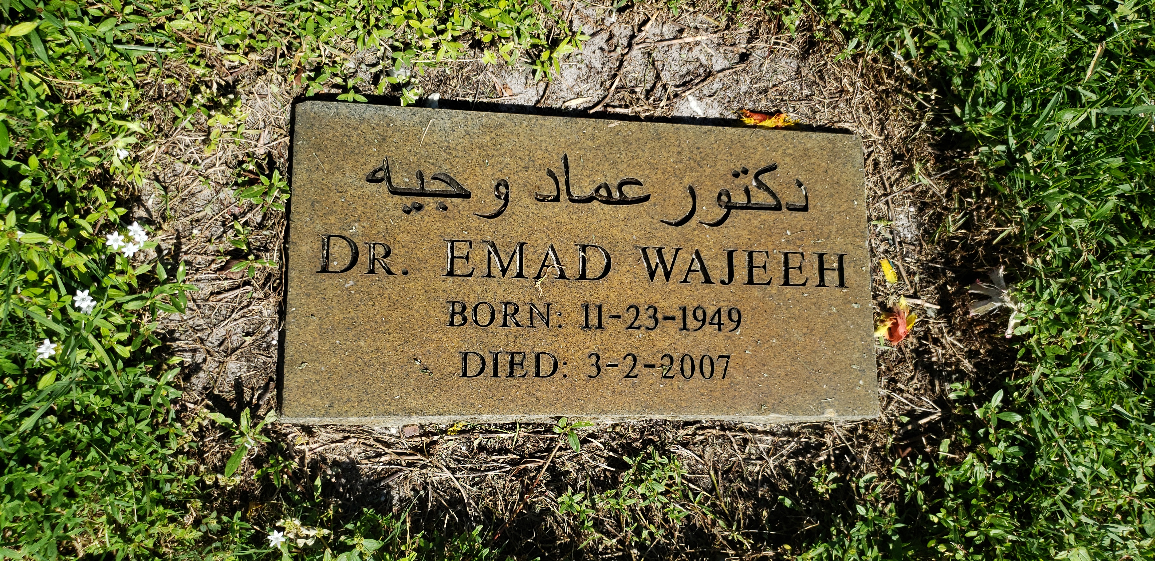 Dr Emad Wajeeh