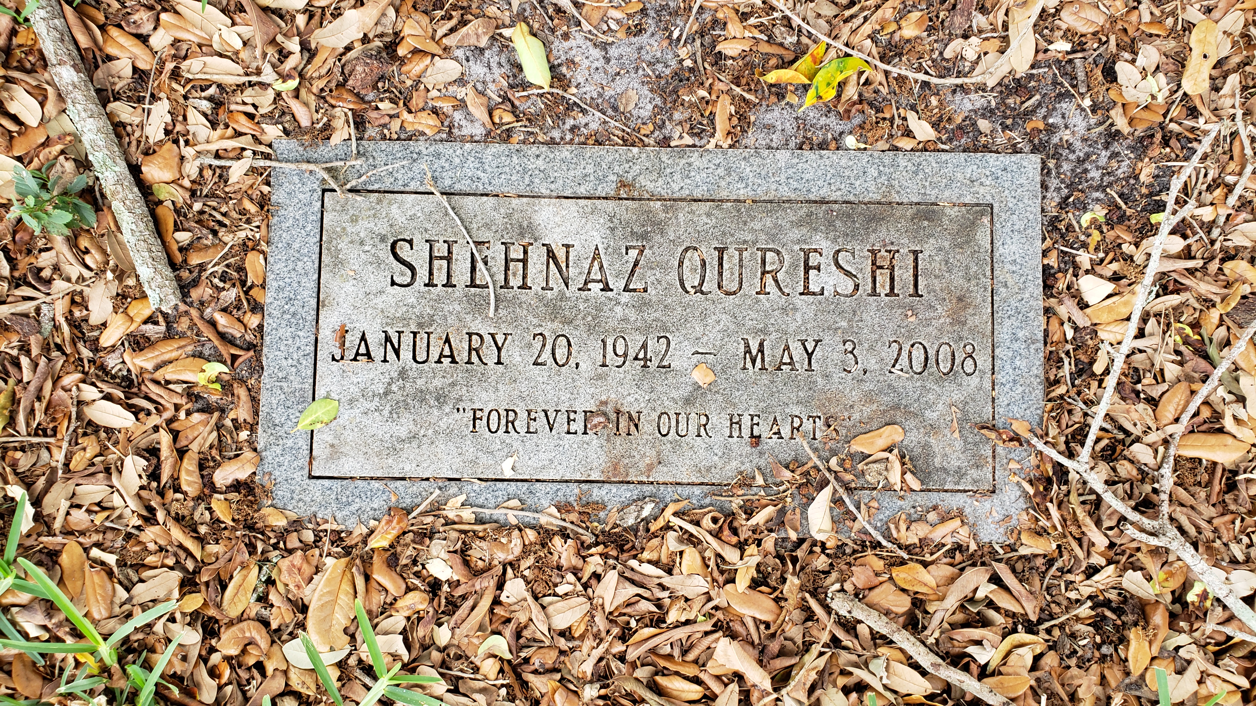 Shehnaz Qureshi