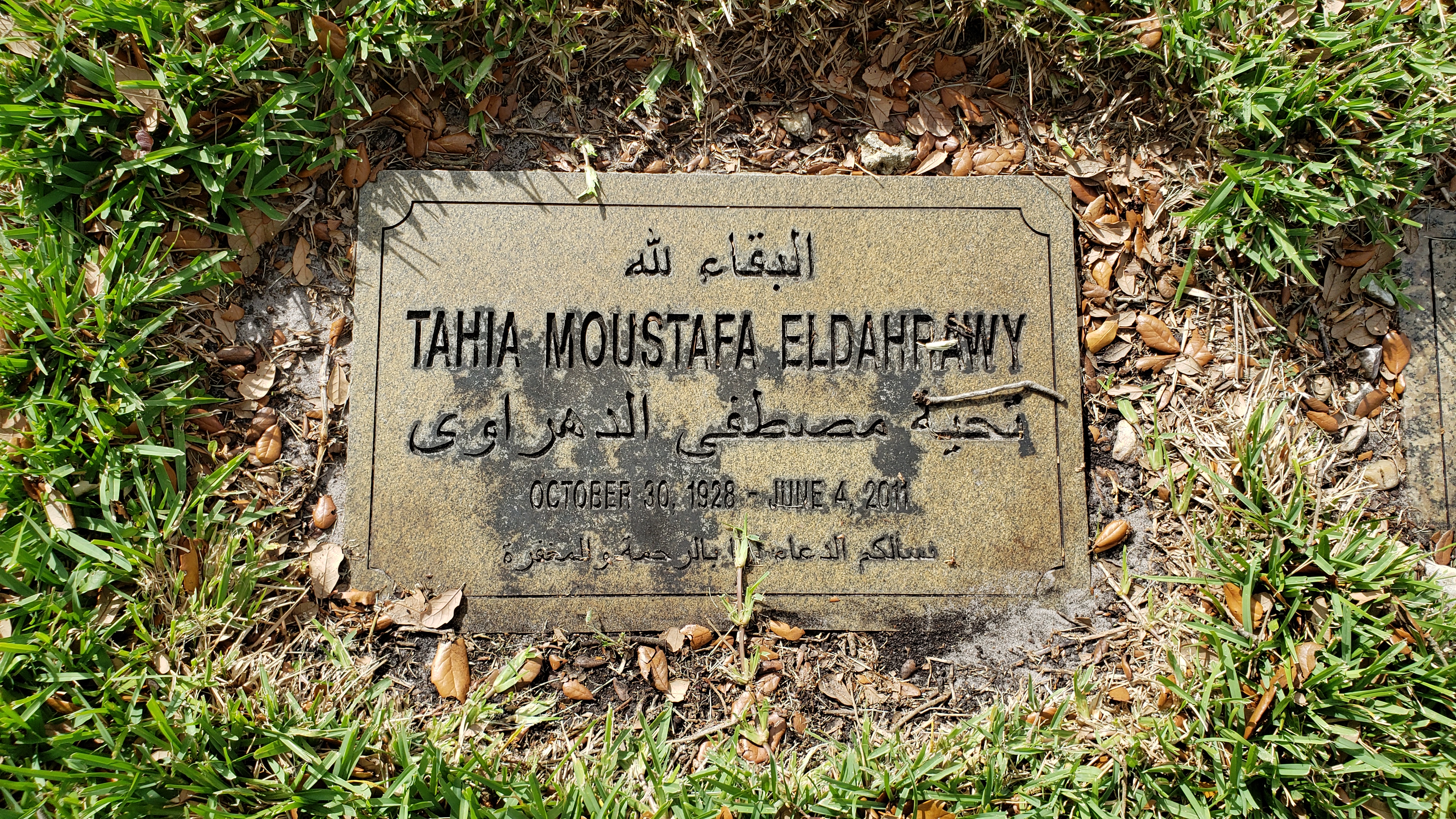 Tahia Moustafa Eldahrawy