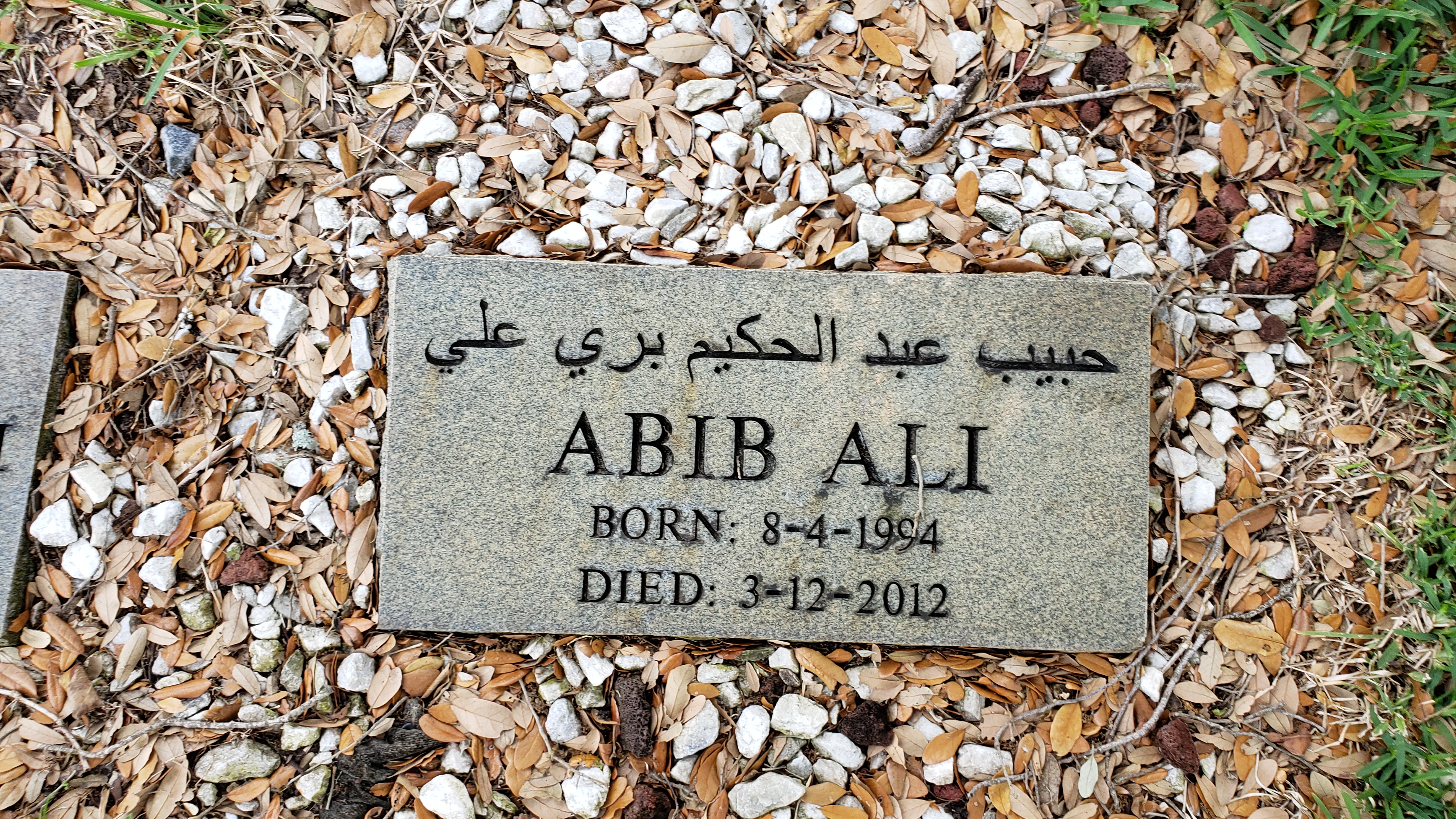 Abib Ali