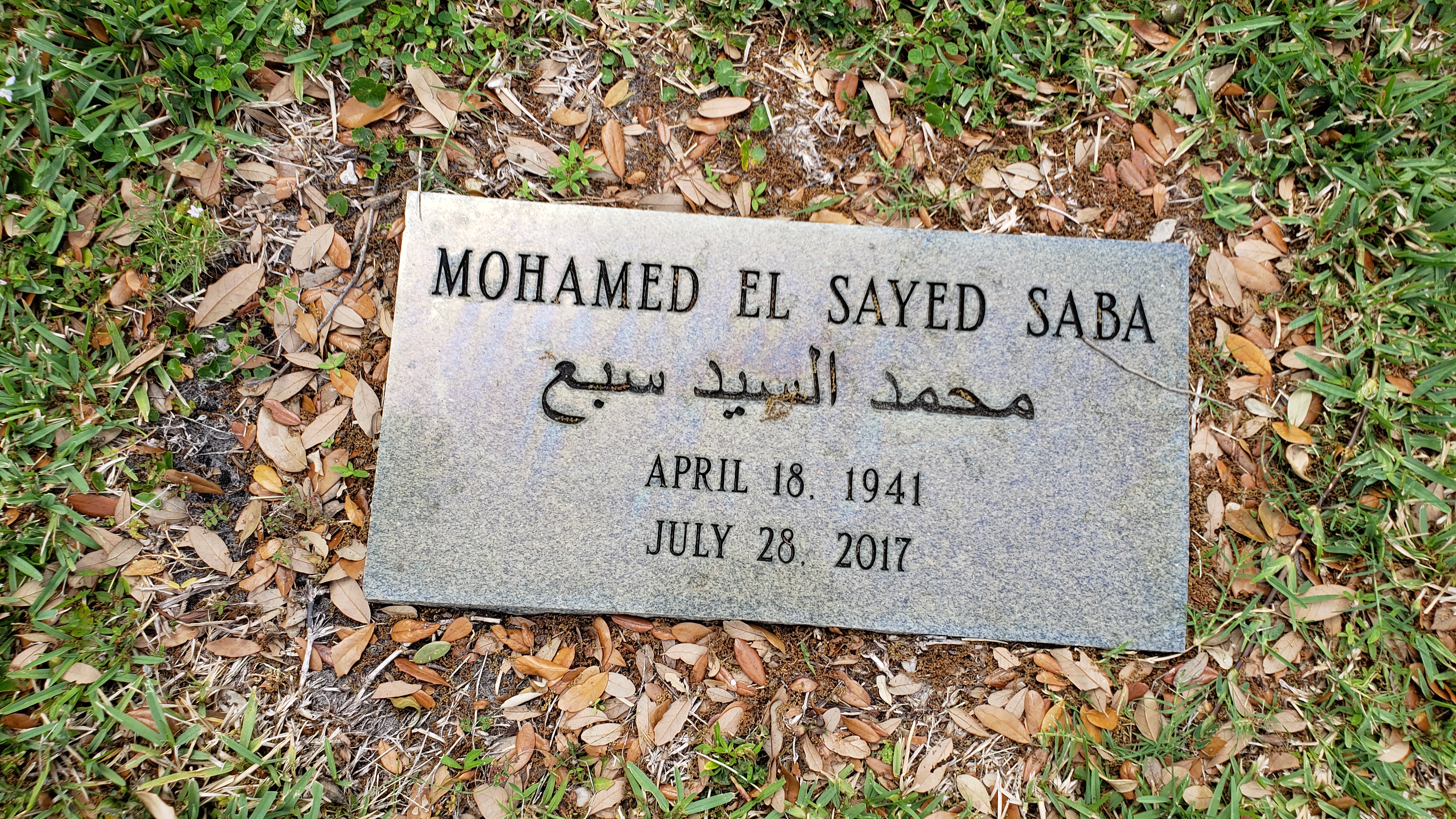 Mohammed El Sayed Saba