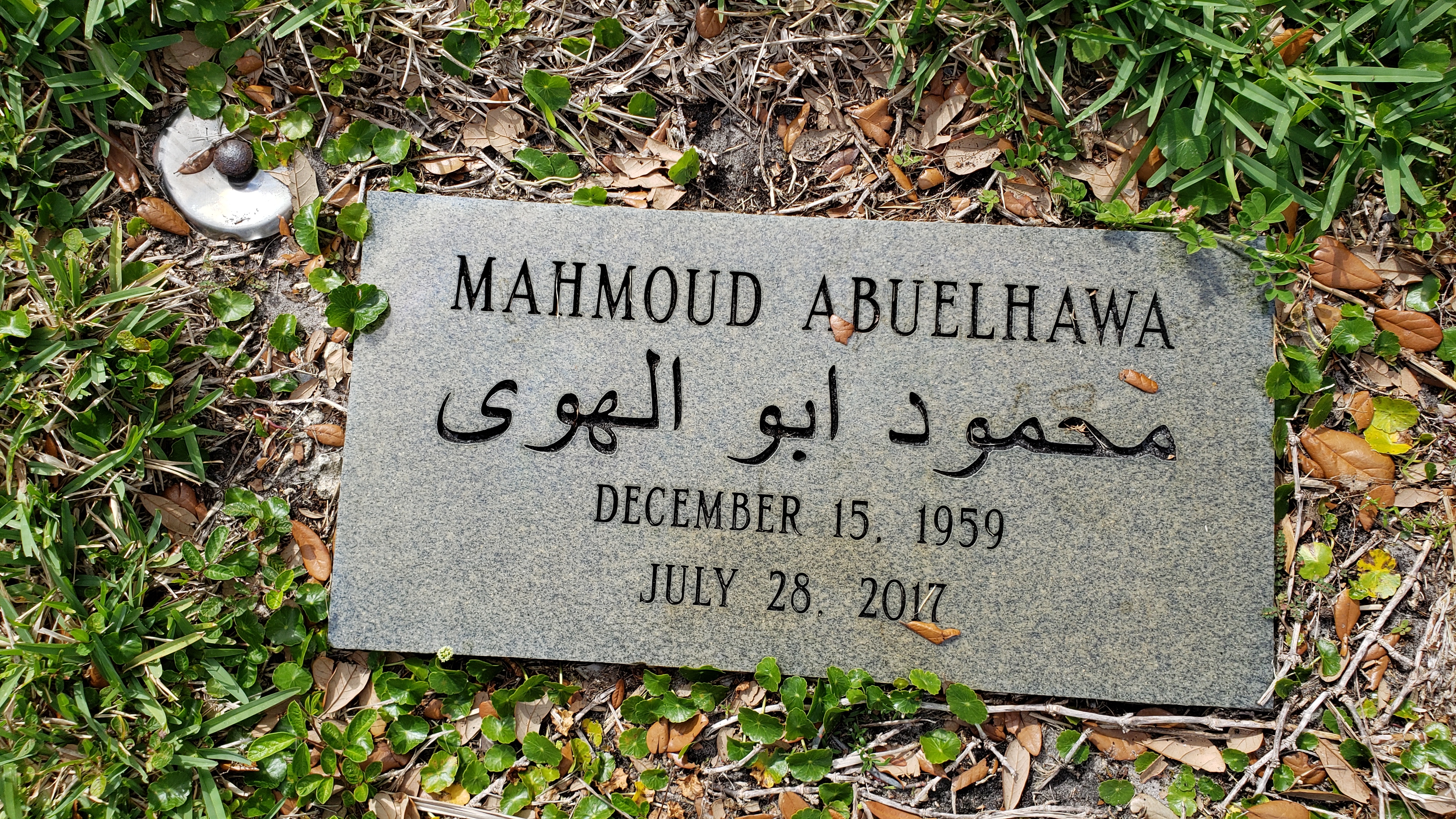Mahmoud Abuelhawa