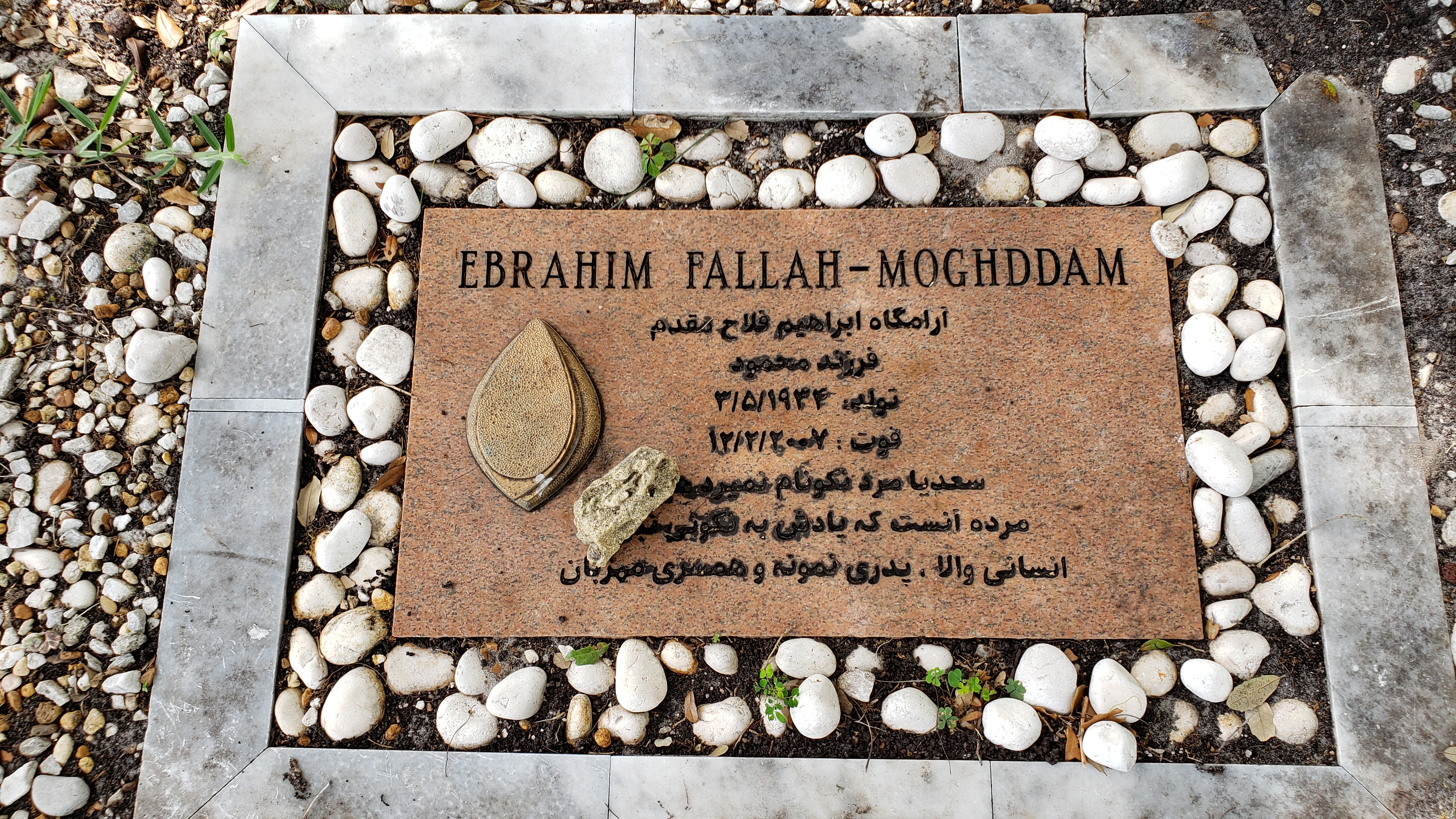 Ebrahim Fallah-Moghddam