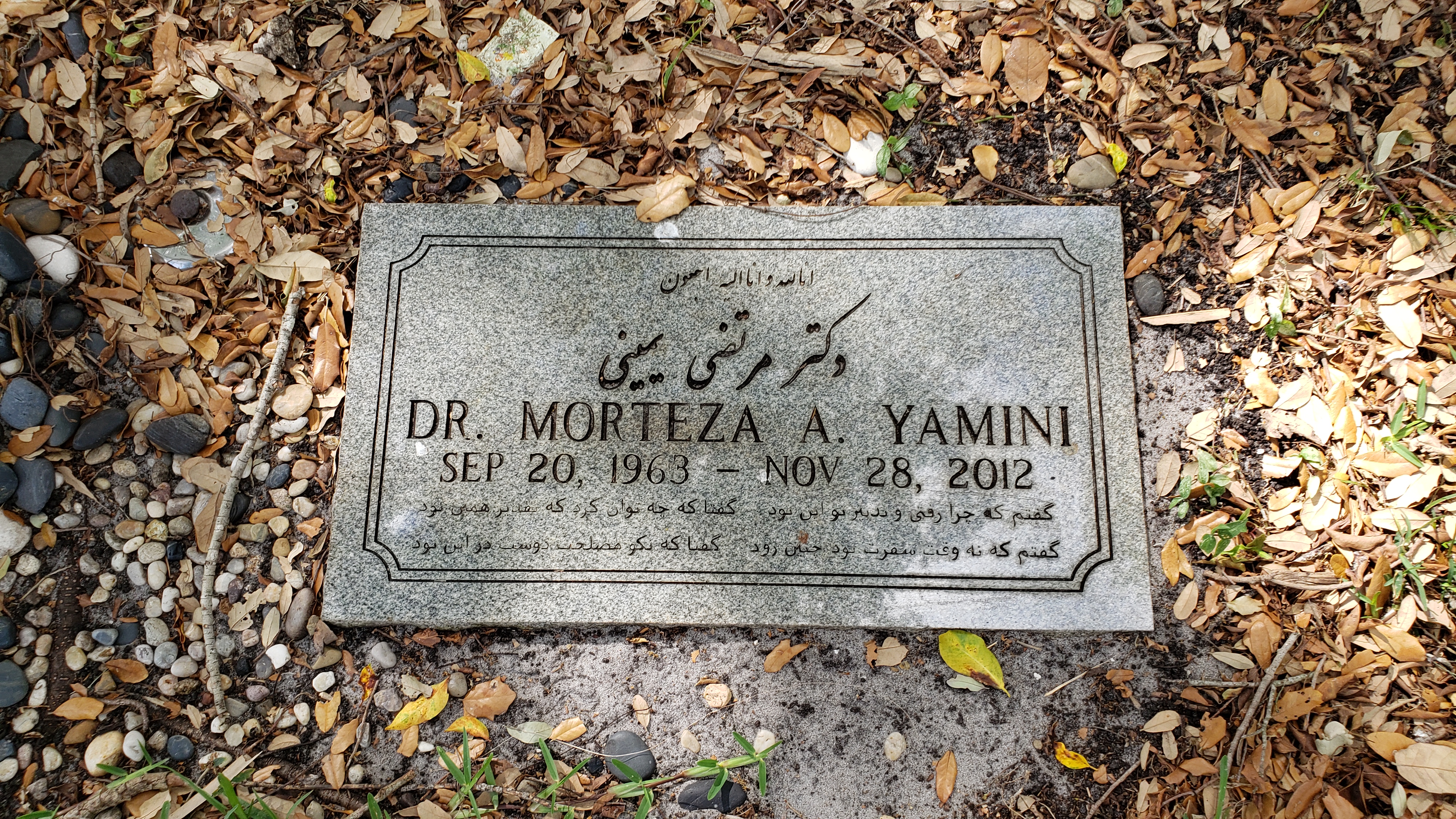 Dr Morteza A Yamini