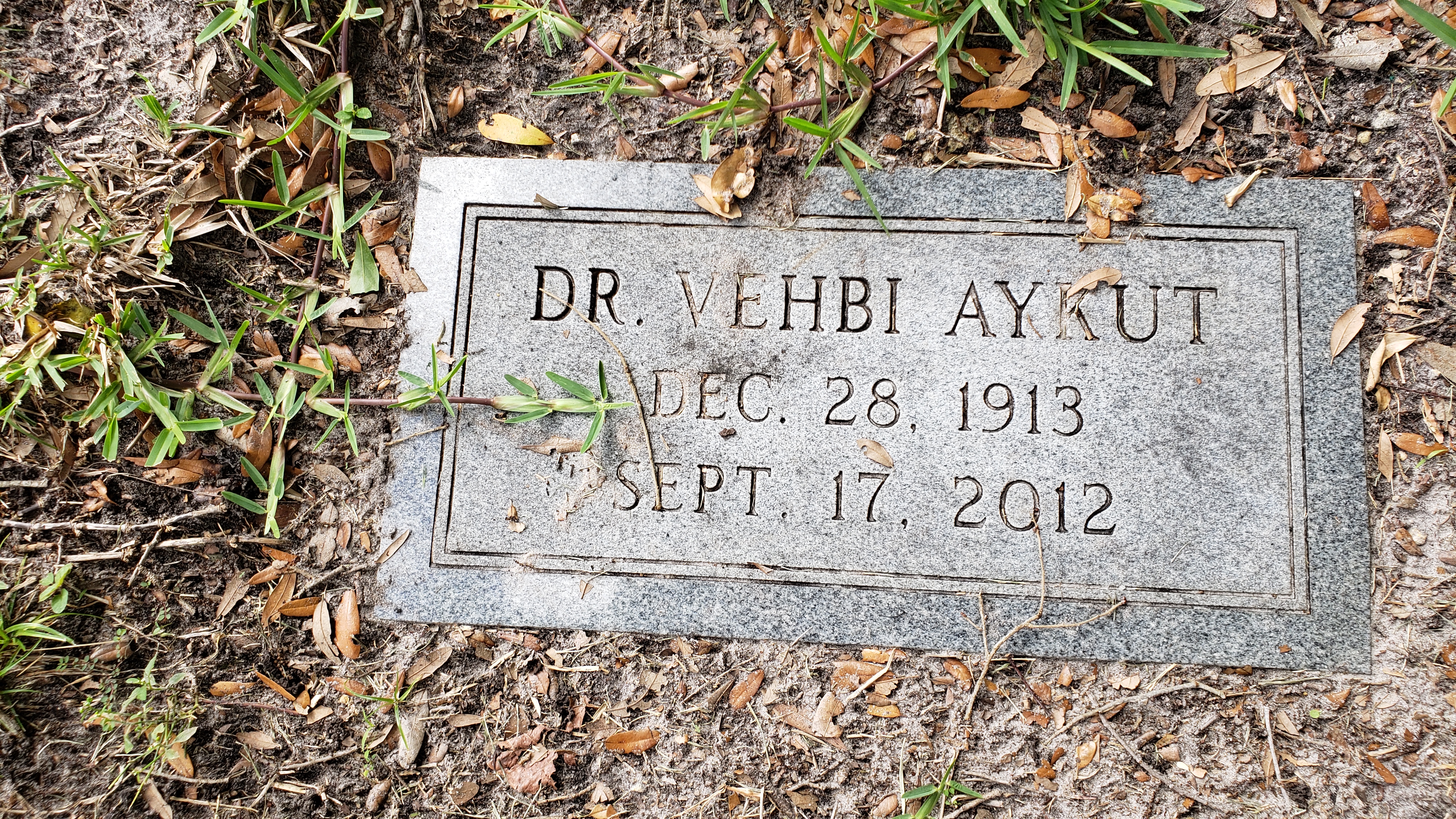 Dr Vehbi Aykut