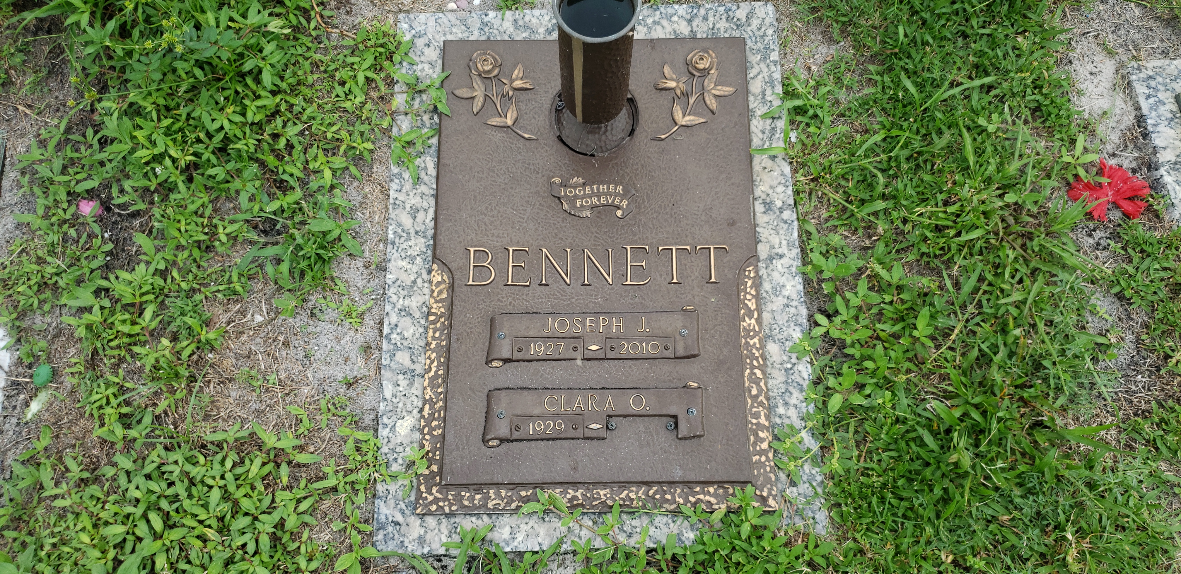 Joseph J Bennett