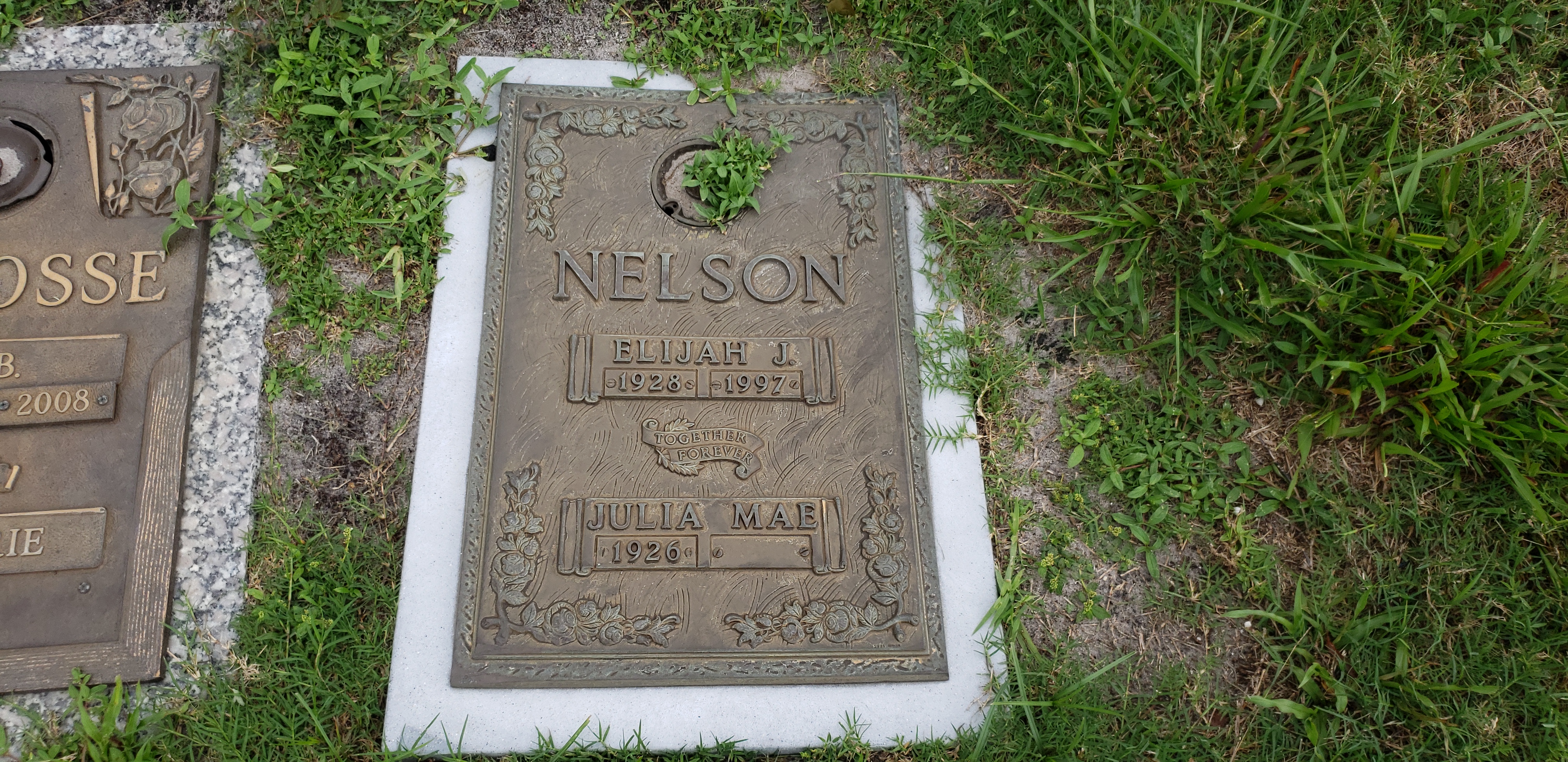Elijah J Nelson