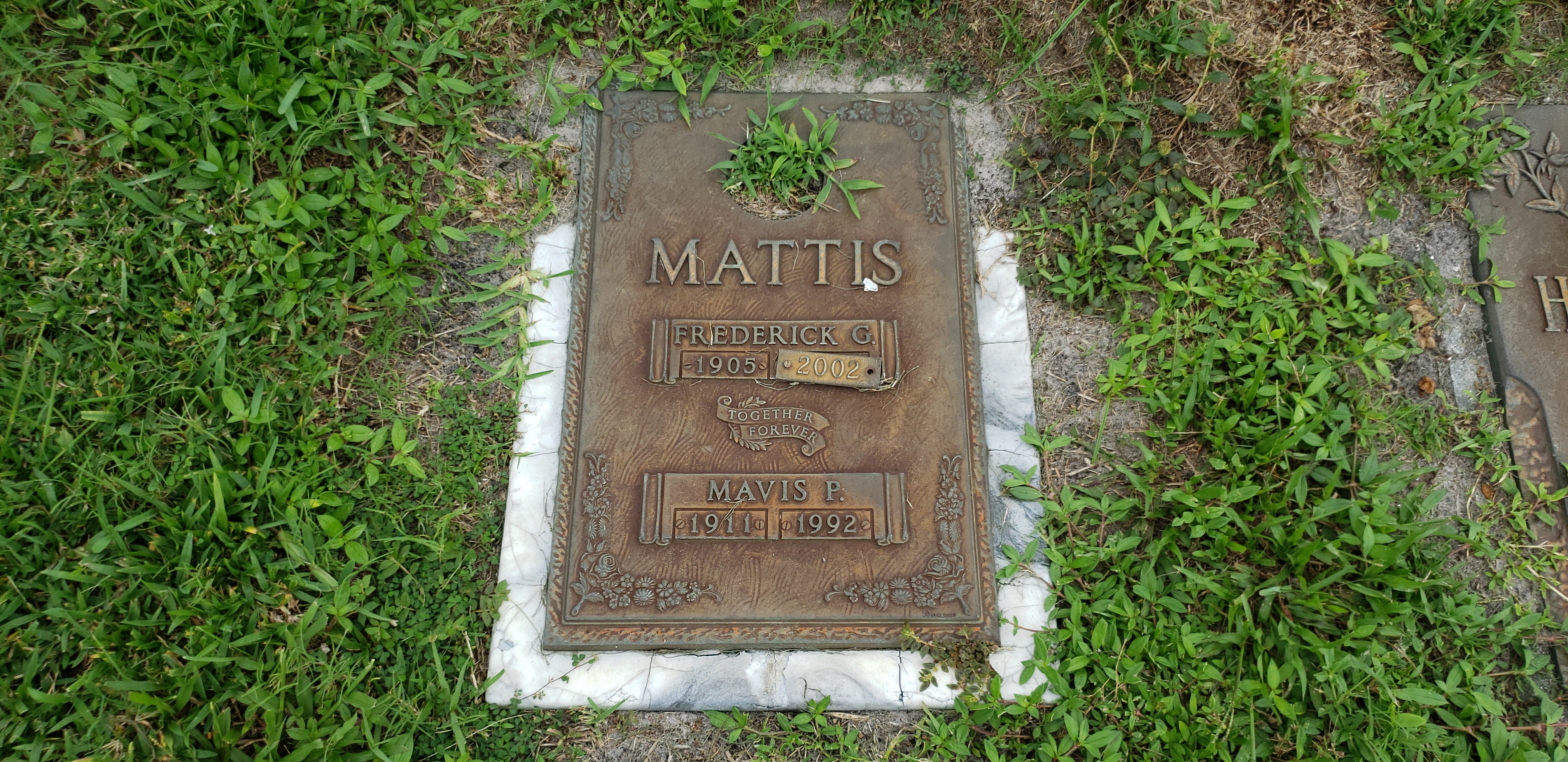 Mavis P Mattis