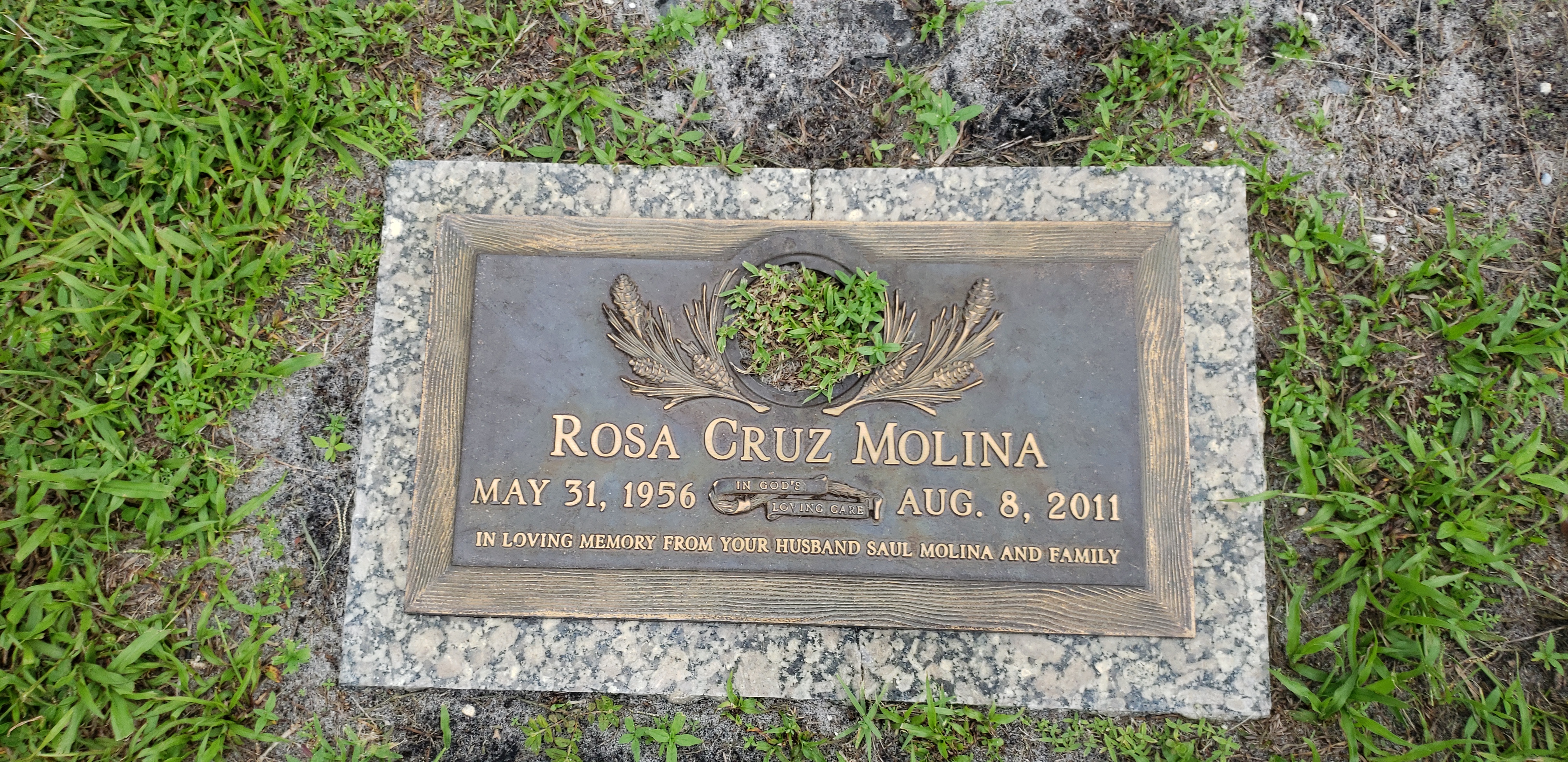 Rosa Cruz Molina