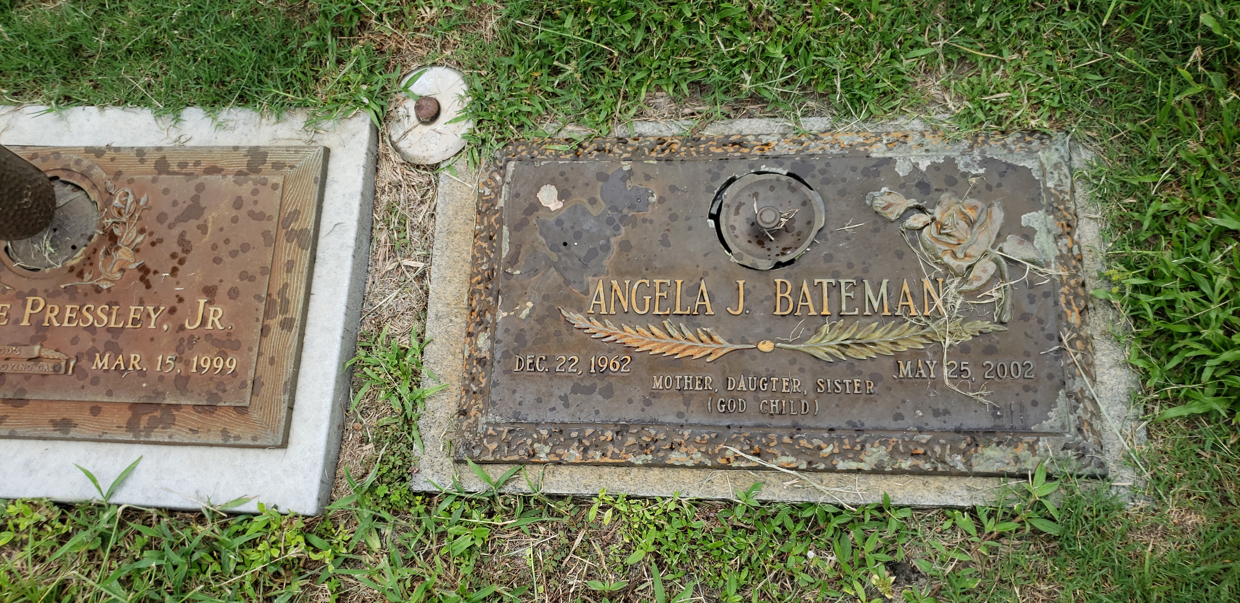 Angela J Bateman
