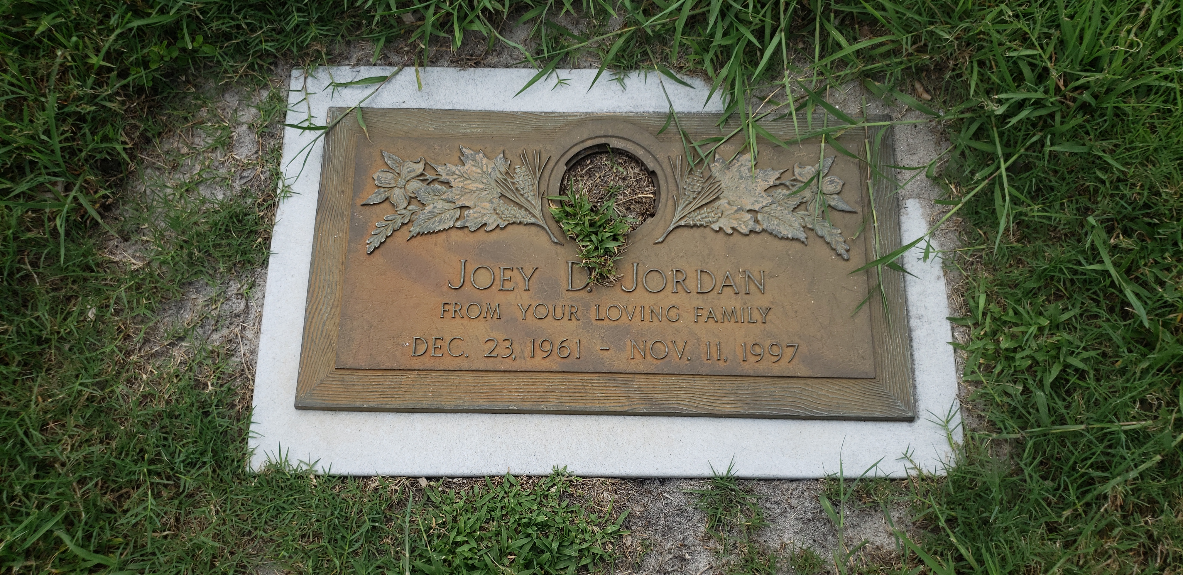 Joey D Jordan