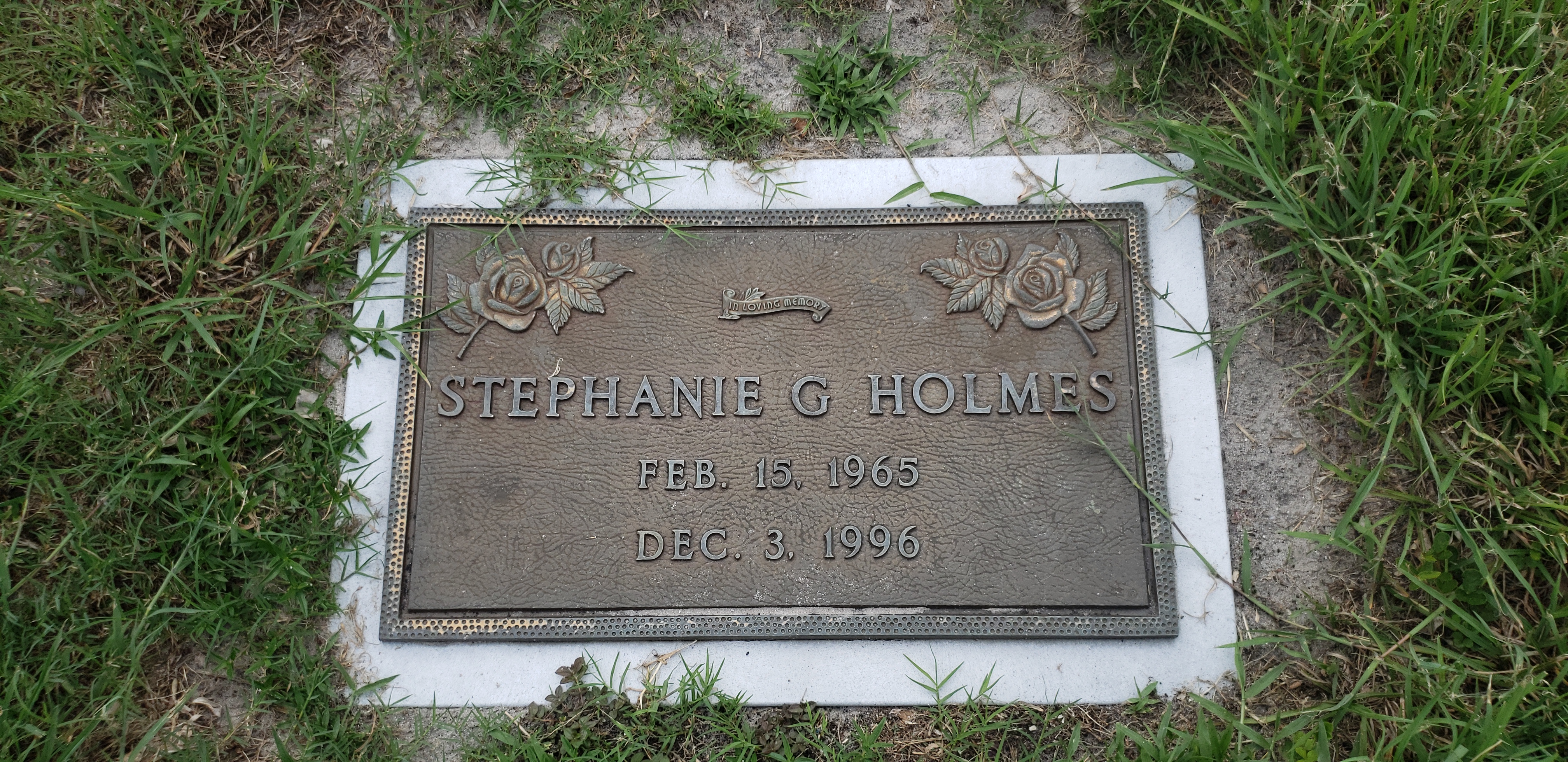 Stephanie G Holmes